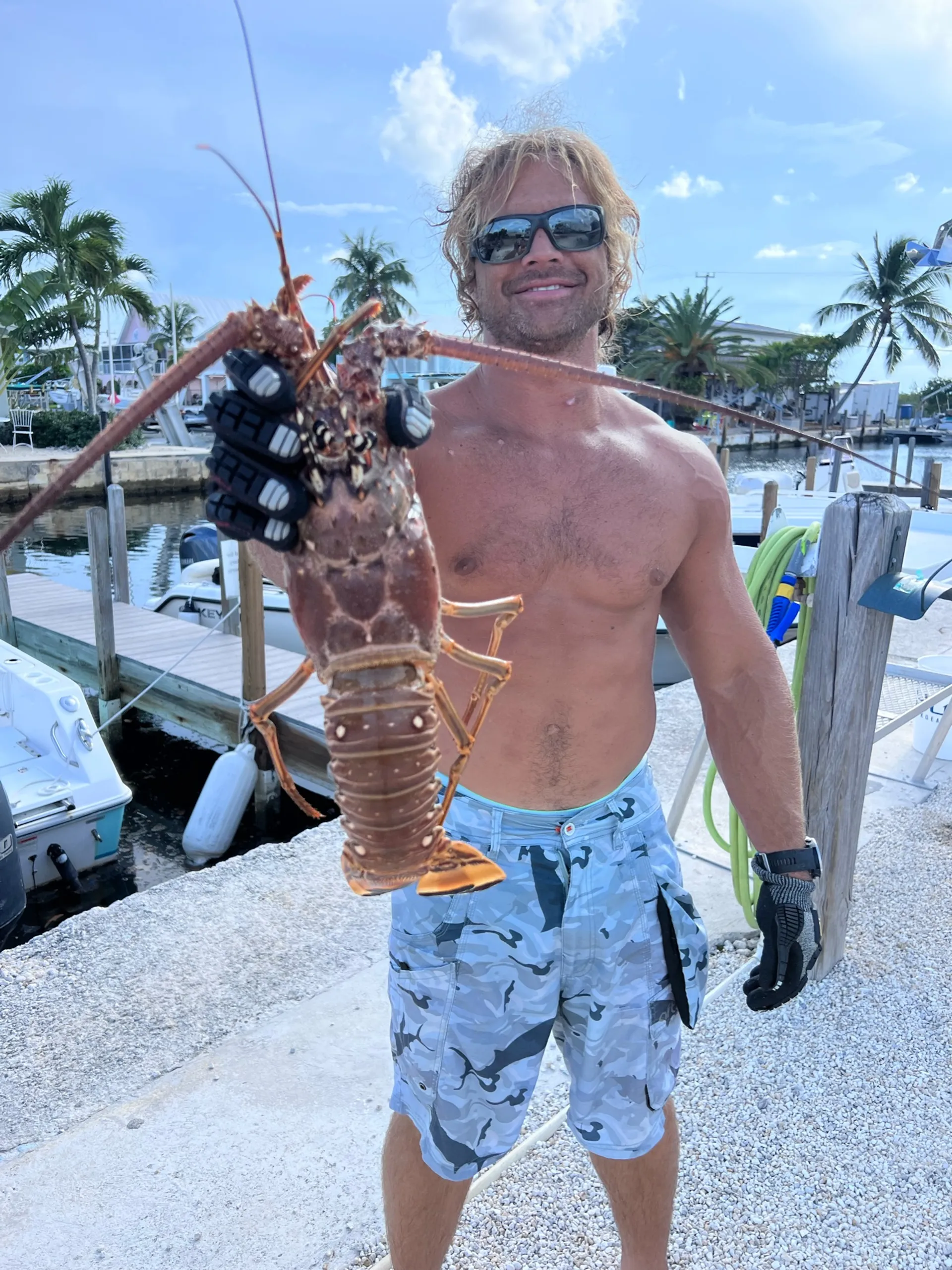 Reef snorkeling and Sandbar Tour