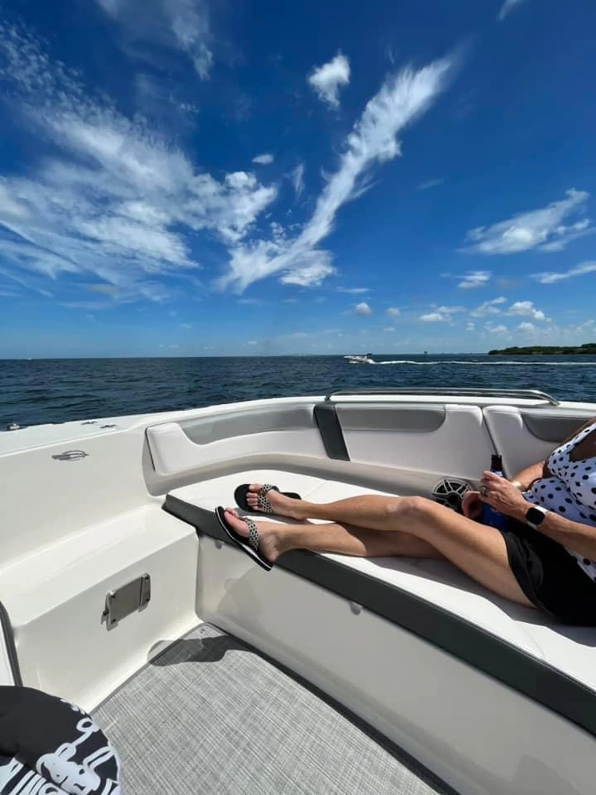 CHAPARRAL BOATS 250 SUNCOAST in Bradenton, FL — photo 7
