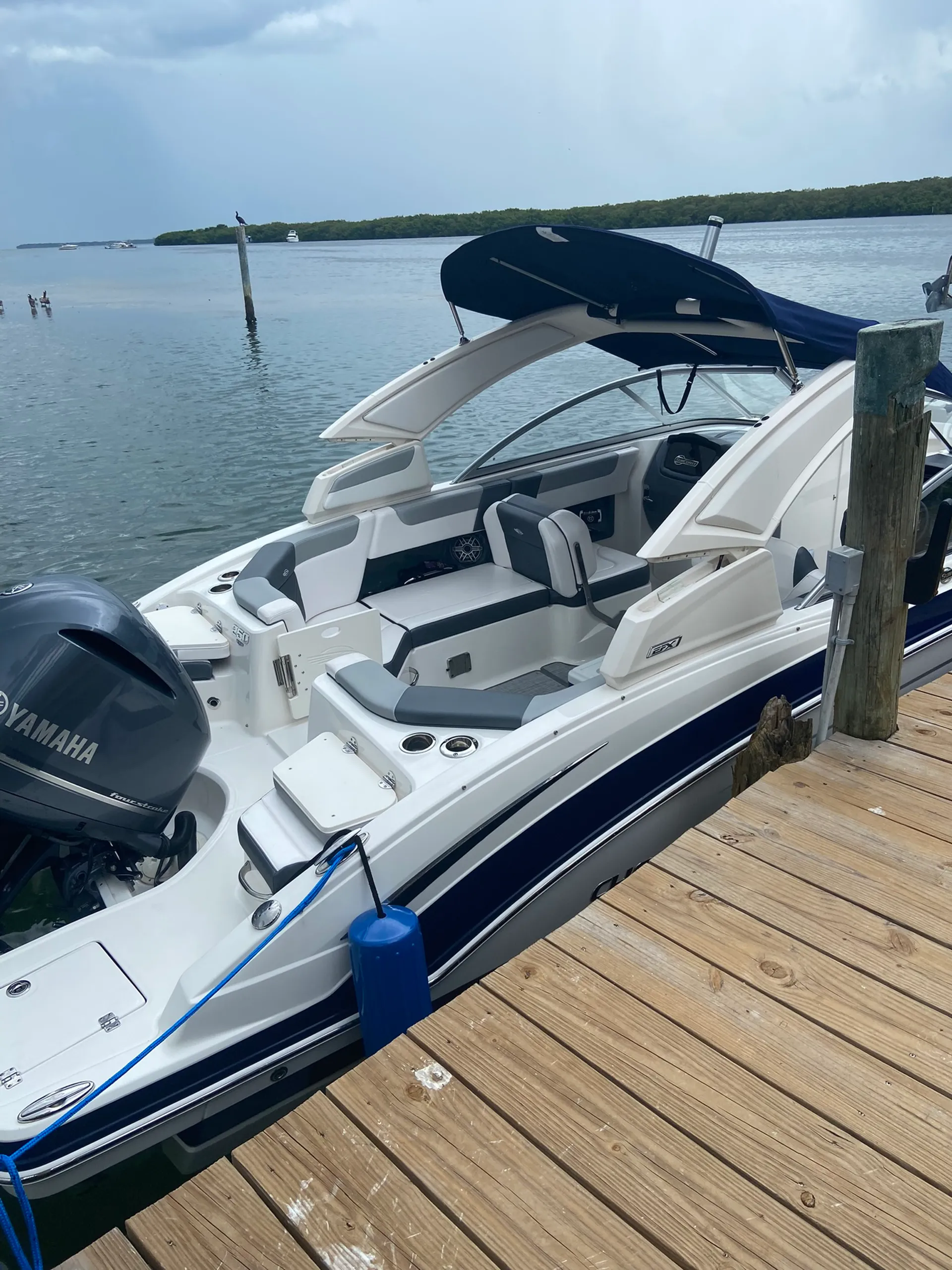 CHAPARRAL BOATS 250 SUNCOAST in Bradenton, FL — photo 3
