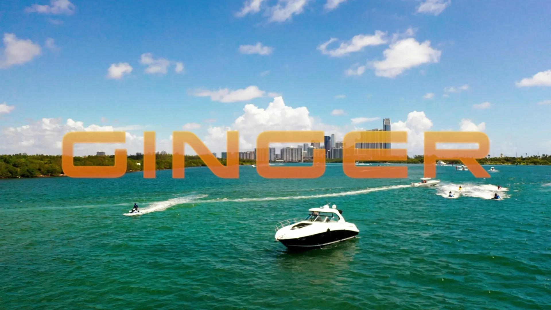 Sea Ray Boats Other in Miami Beach, FL — photo 8