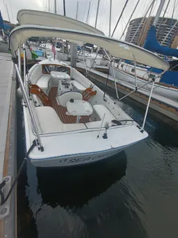 20 ft Duffy Electric Boat boat photo