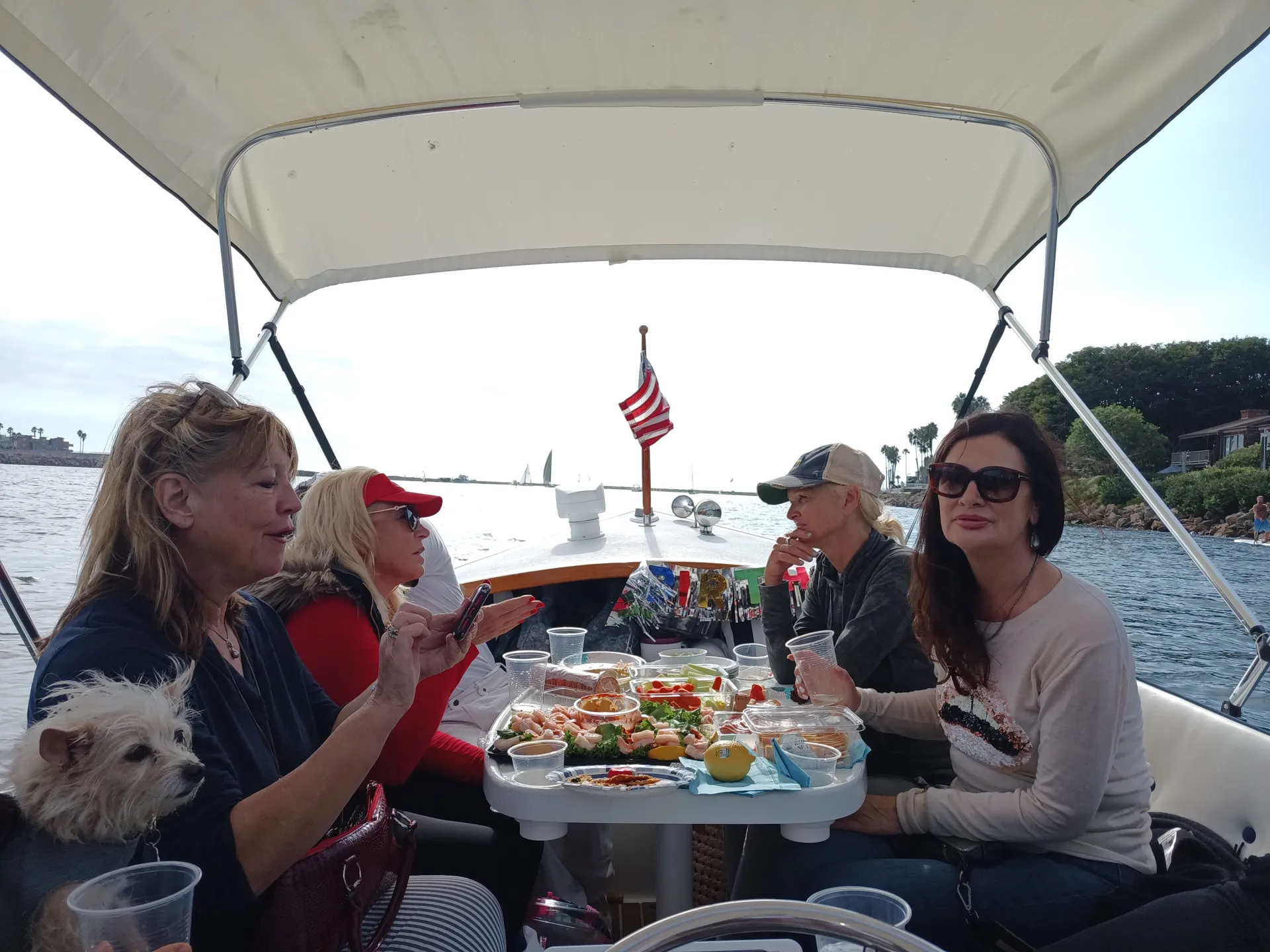 20 ft Duffy Electric Boat