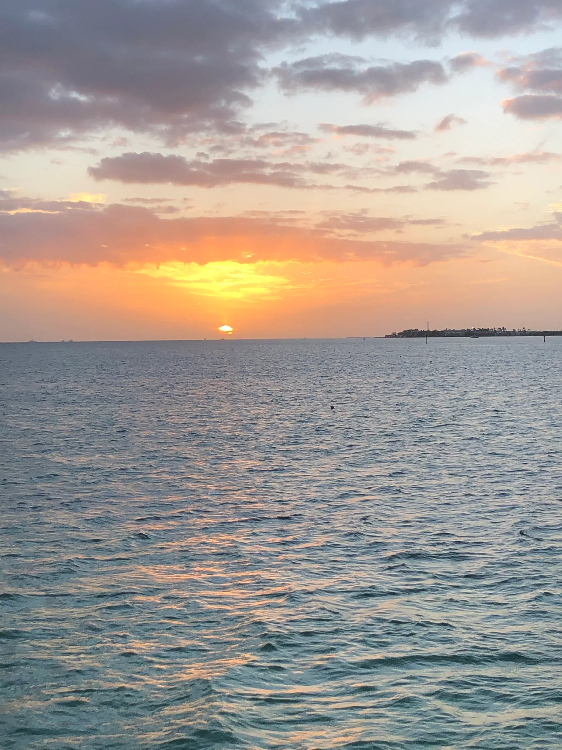 All inclusive yacht charter. Day and overnight trips available
