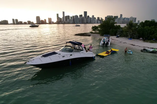 Rent a Sea Ray Boats cruiser in Miami, FL near me