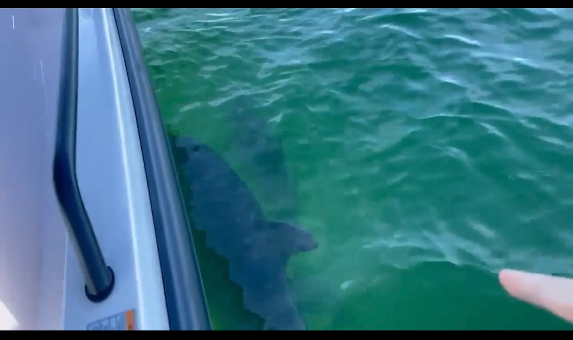 SUV of the Sea's - Brabus Luxury Adventure Boat