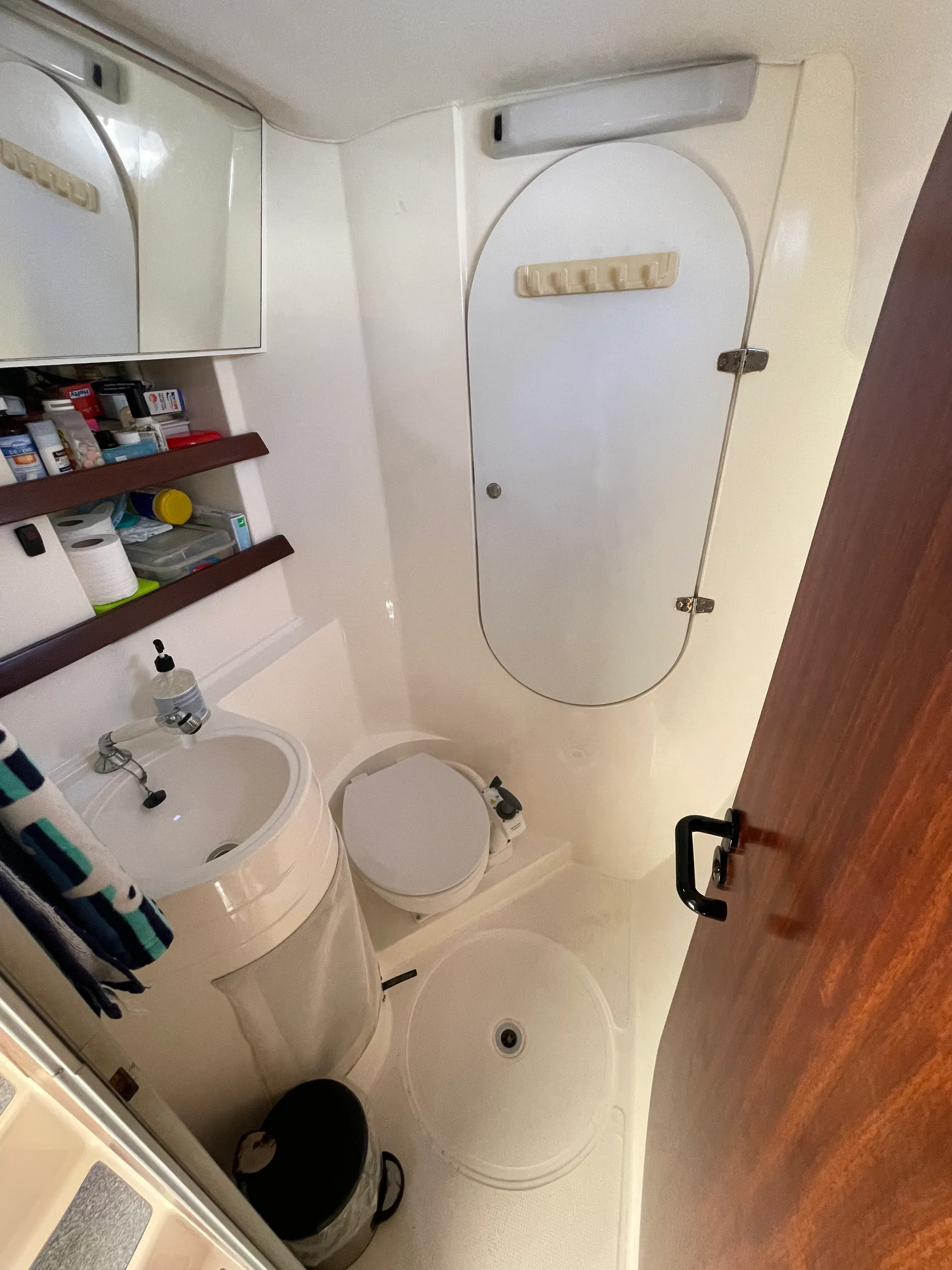 Ready to Cat around SF Bay?