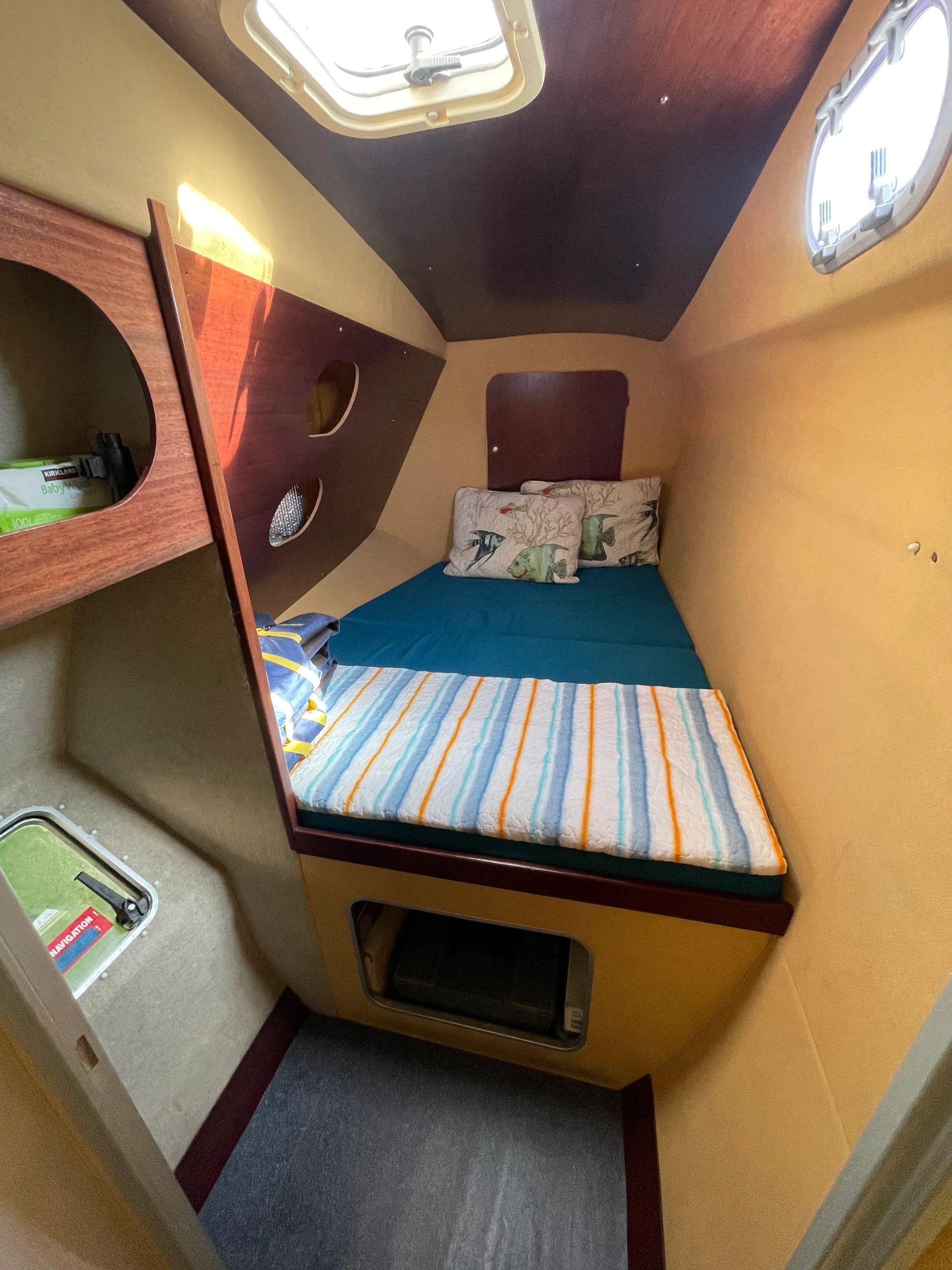 Ready to Cat around SF Bay?