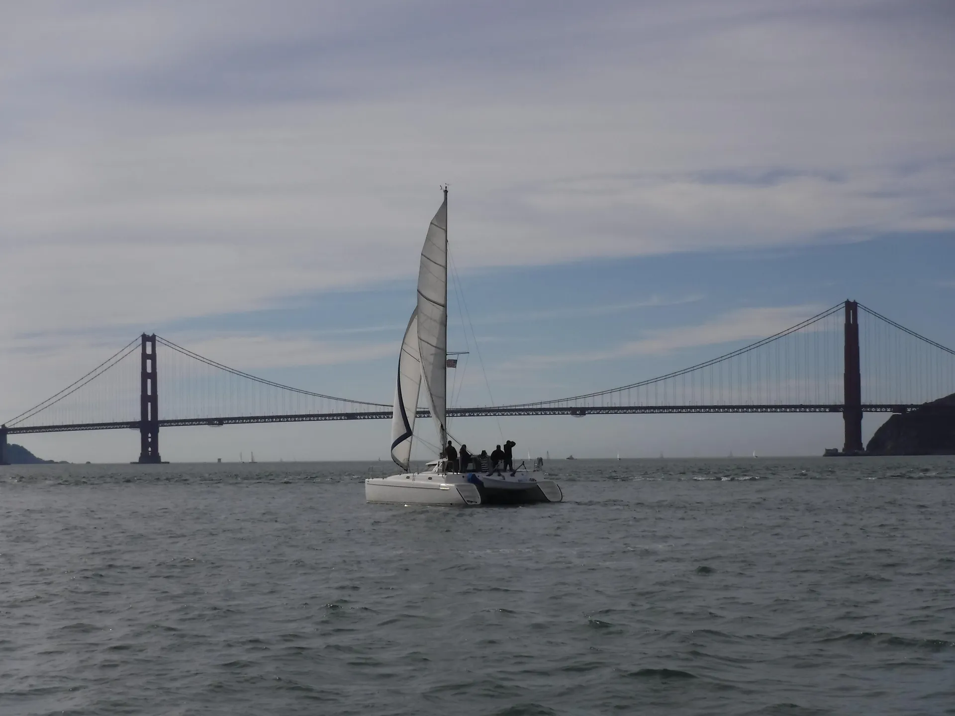 Ready to Cat around SF Bay?