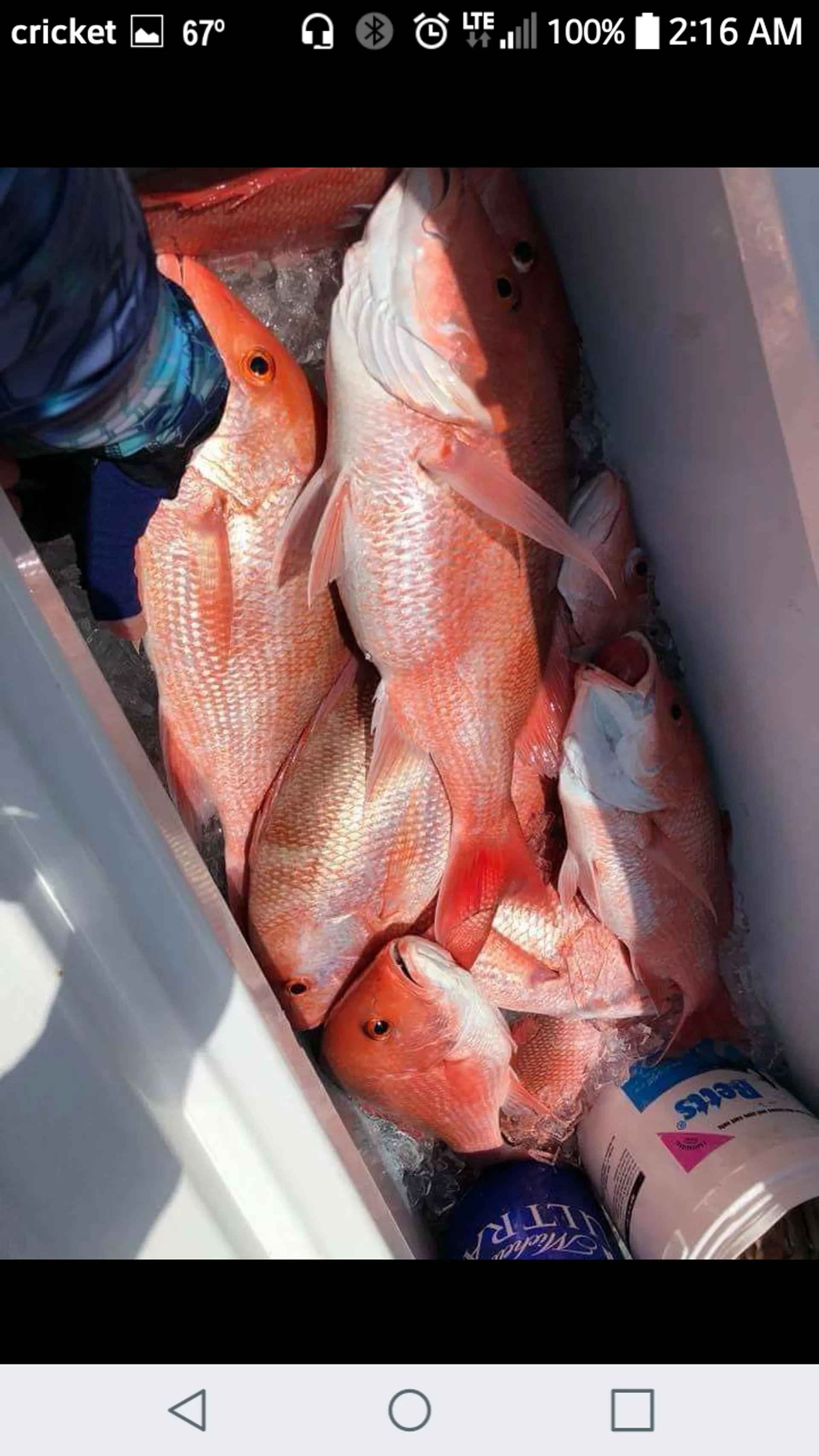 *VOTED BEST OF FLORIDA 2022 and 2023 * nearshore and offshore fishing