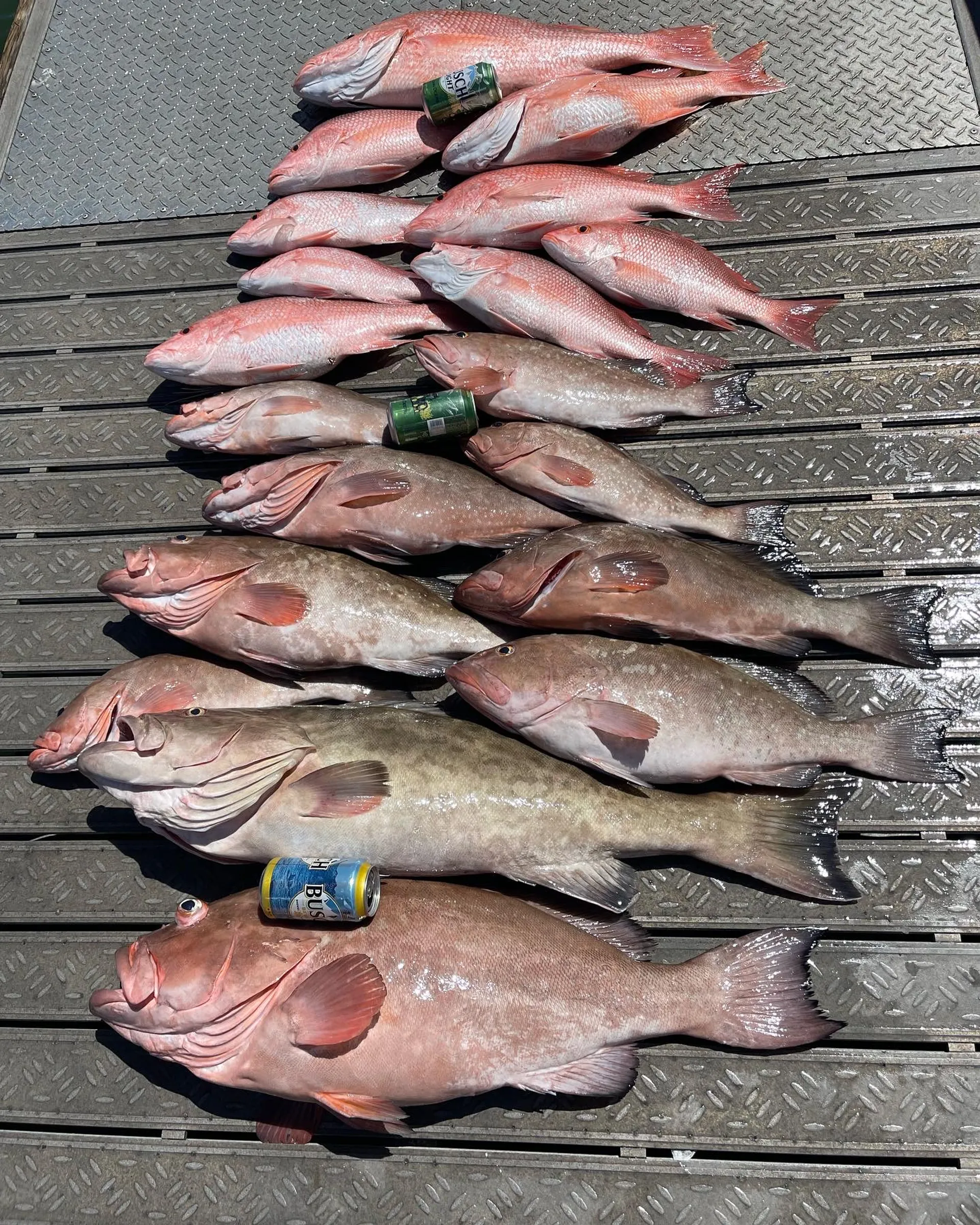 *VOTED BEST OF FLORIDA 2022 and 2023 * nearshore and offshore fishing
