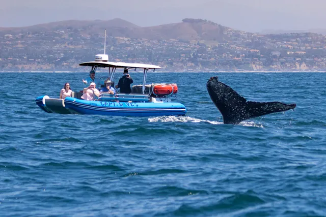 Rent a Nautica rigid inflatable in Dana Point, CA near me