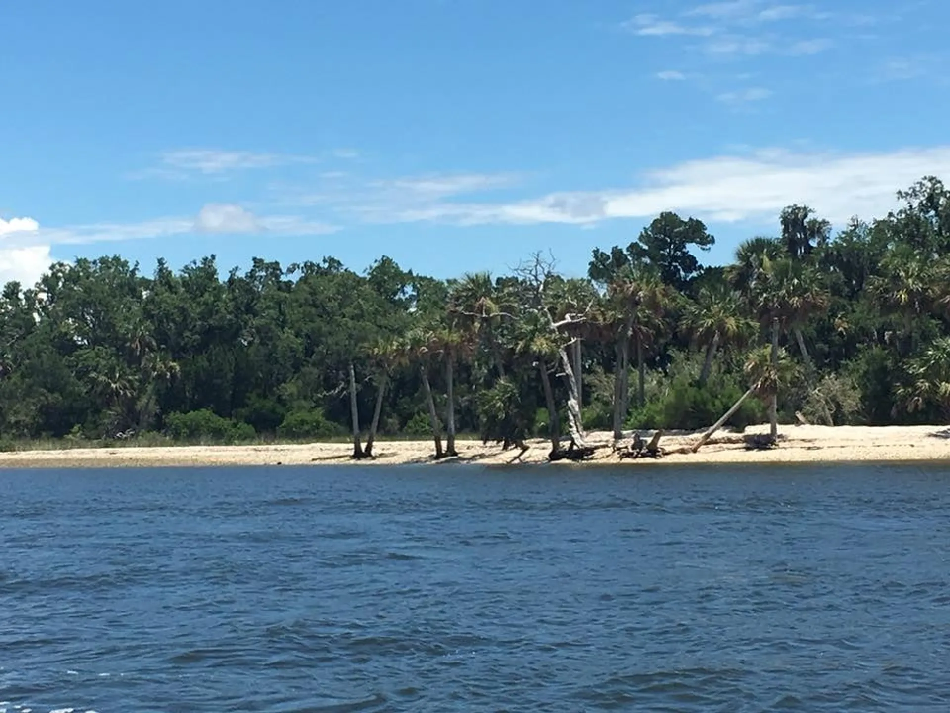 Hurricane sd 2690 in Dunedin, FL — photo 4