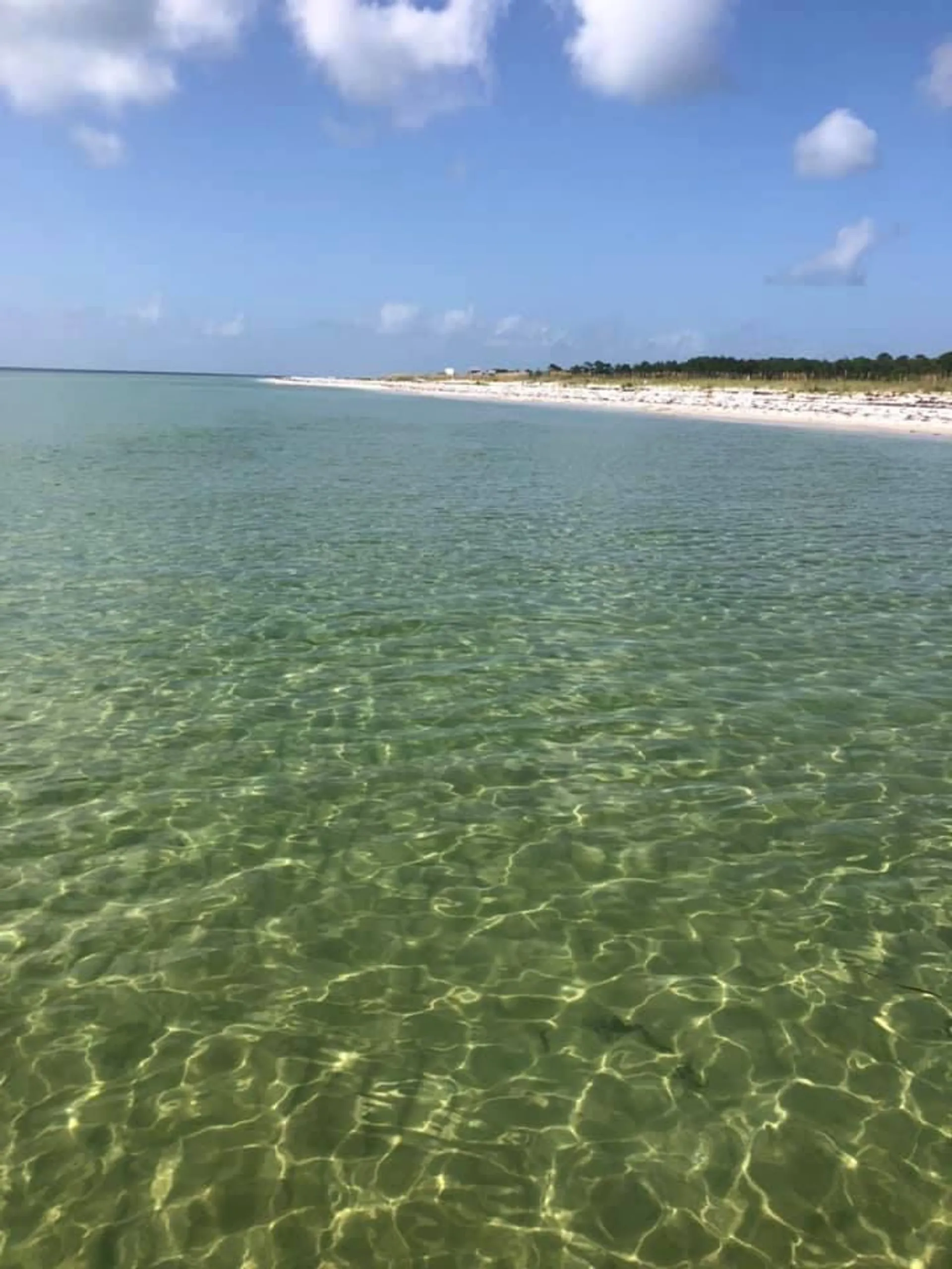 Hurricane sd 2690 in Dunedin, FL — photo 6