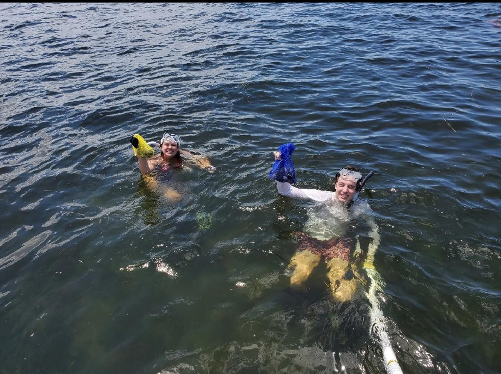 Hurricane sd 2690 in Dunedin, FL — photo 9