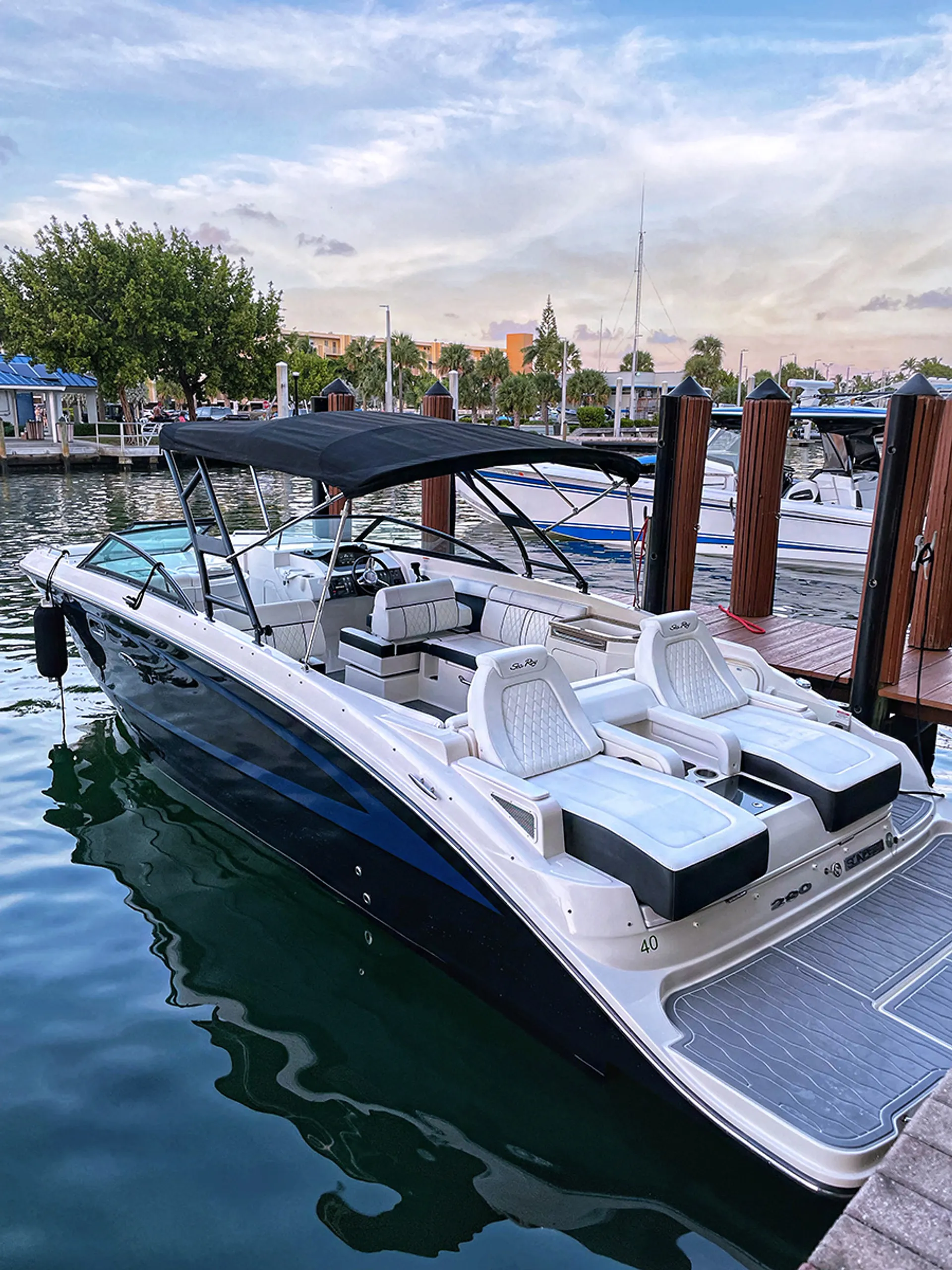 Sea Ray Boats 290 Sundeck in Fort Lauderdale, FL — photo 4