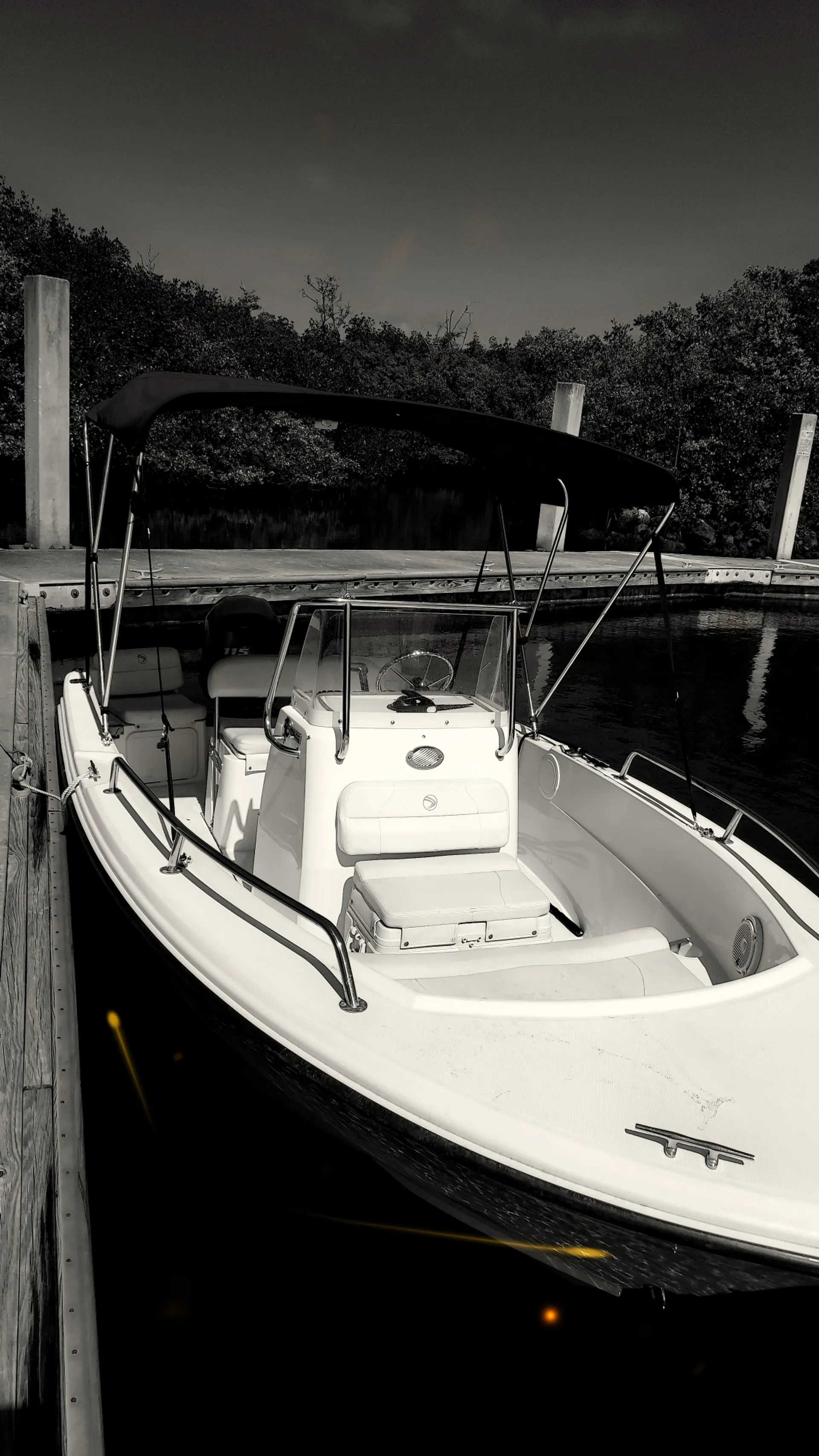 Yamaha 	Edgewater Powerboats 170 CC w/F115 Yamaha in Lantana, FL — photo 2