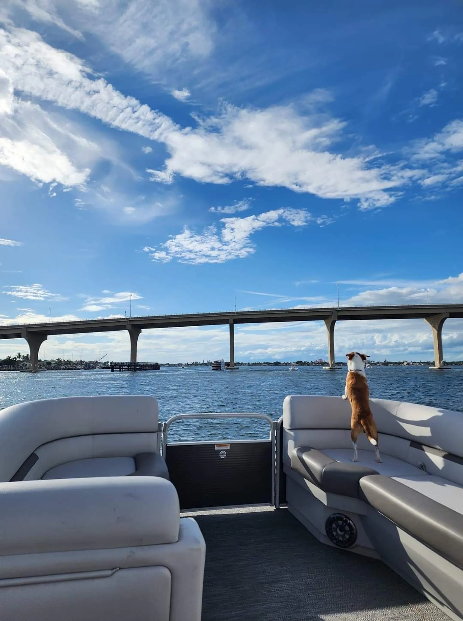 Party Pontoon for 12!! 