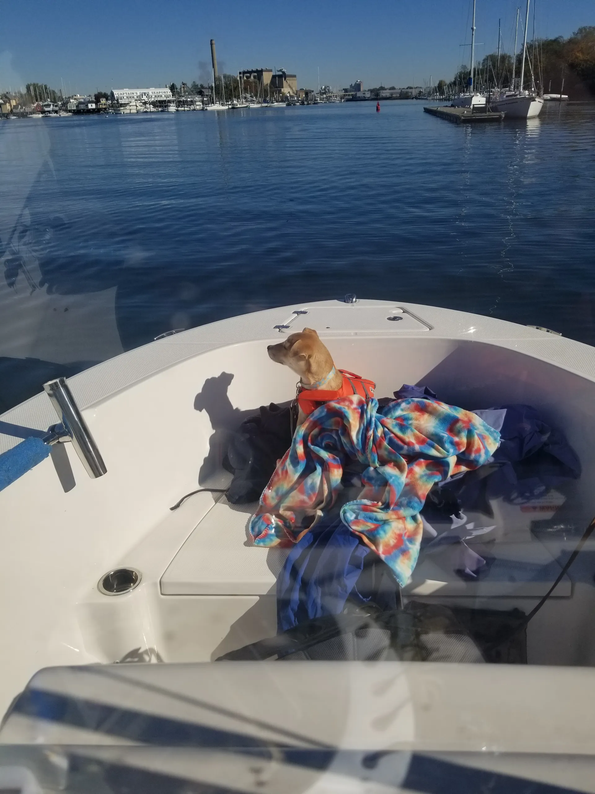 Robalo R180 in Bridgeport - Hang out or fish!