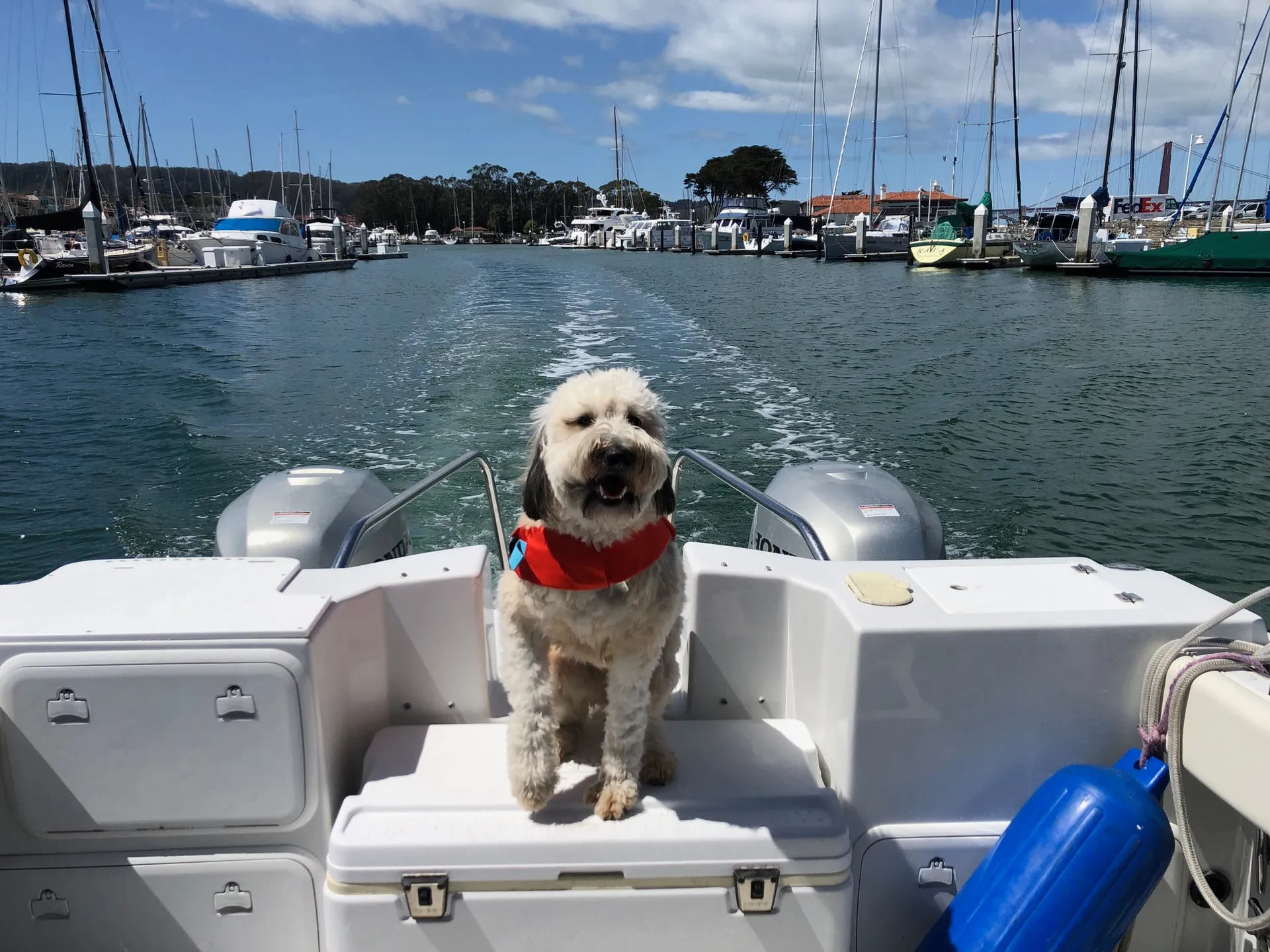 Glacier Bay Catamarans 2685 Coastal Runner w/2-150HP 4-S in Richmond, CA — photo 4