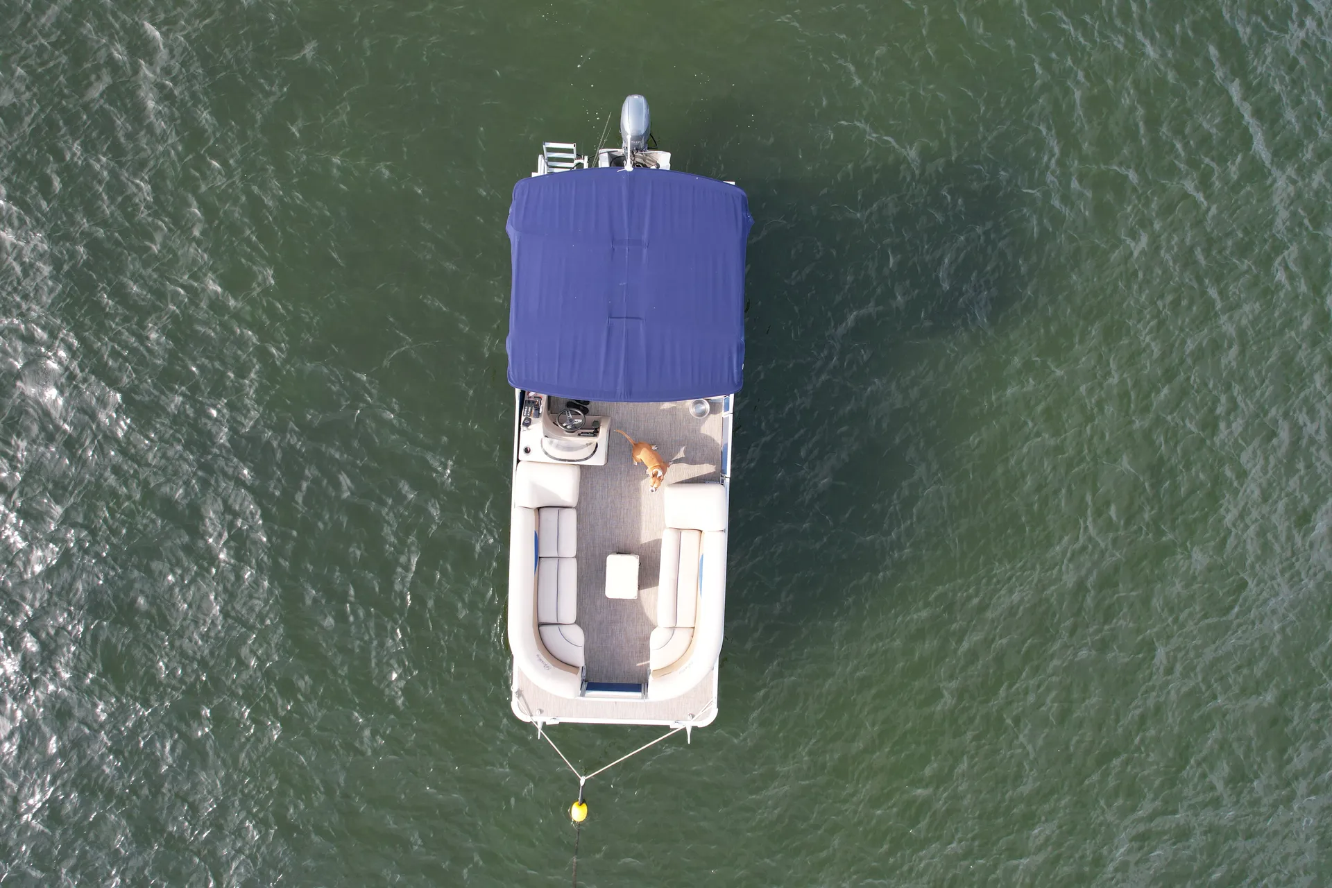 ENCORE BENTLEY BENTLEY ENCORE 240 CRUISE in Fort Lauderdale, FL — photo 9