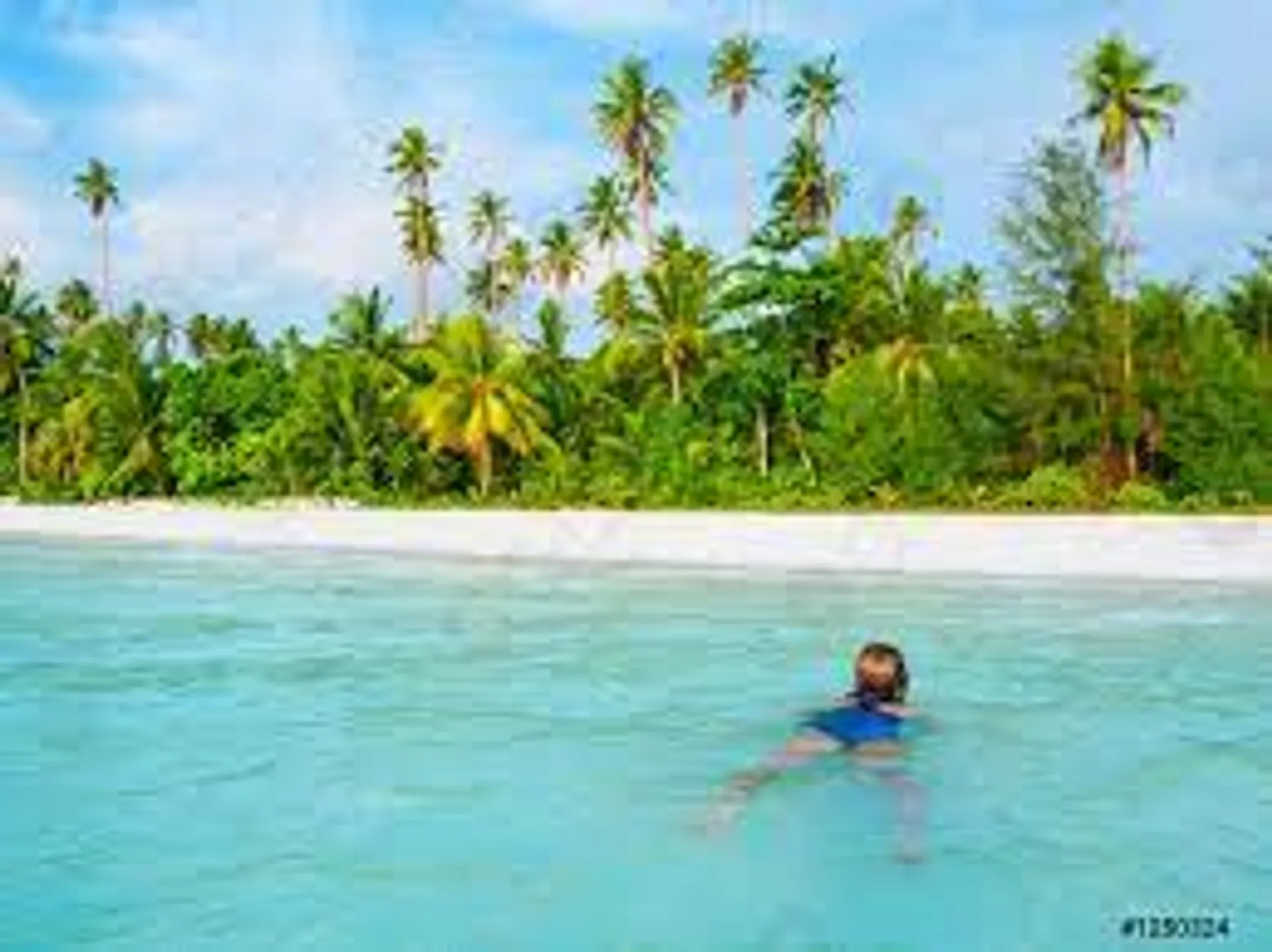 Island Hop to Passage Key and Egmont Key! 🐬