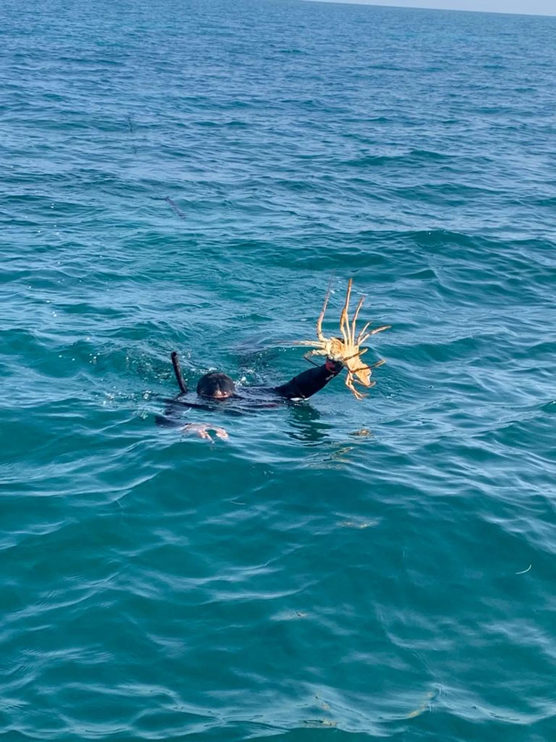 Cobia Boats 214 Cc F150 Yamaha in Plantation, FL — photo 9