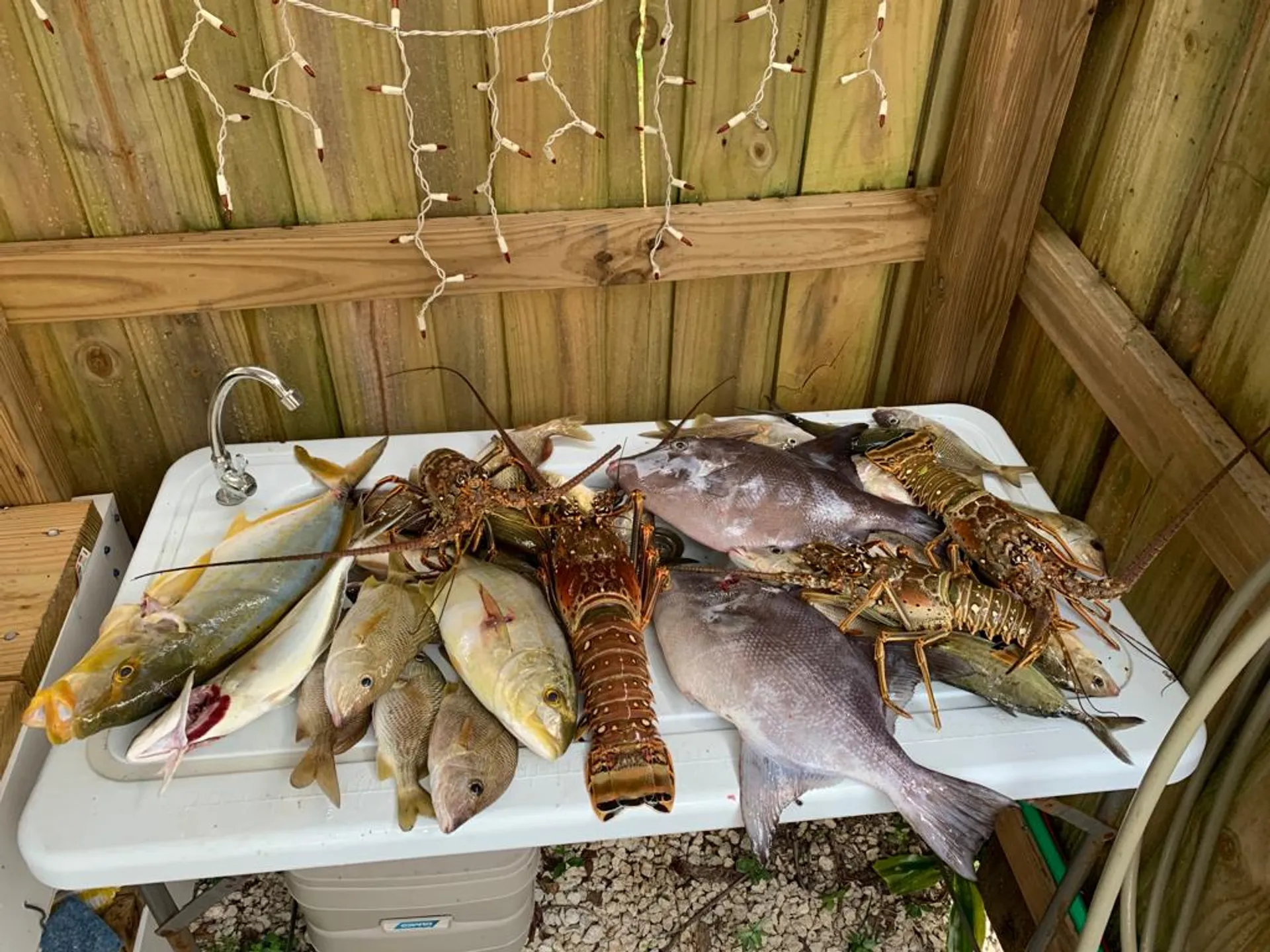 Cobia Boats 214 Cc F150 Yamaha in Plantation, FL — photo 7