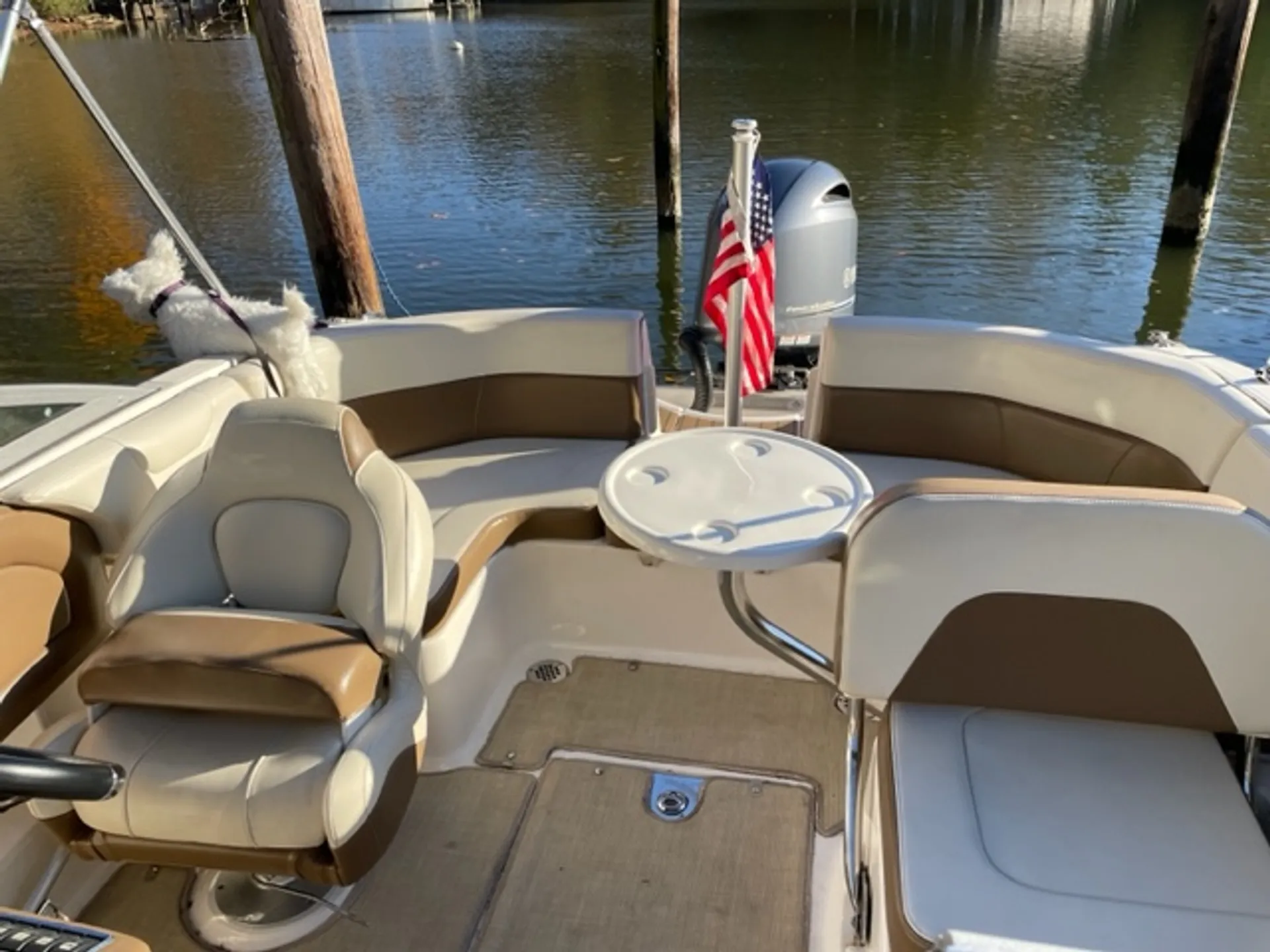 CHAPARRAL BOATS 210 SUNCOAST in Arnold, MD — photo 3