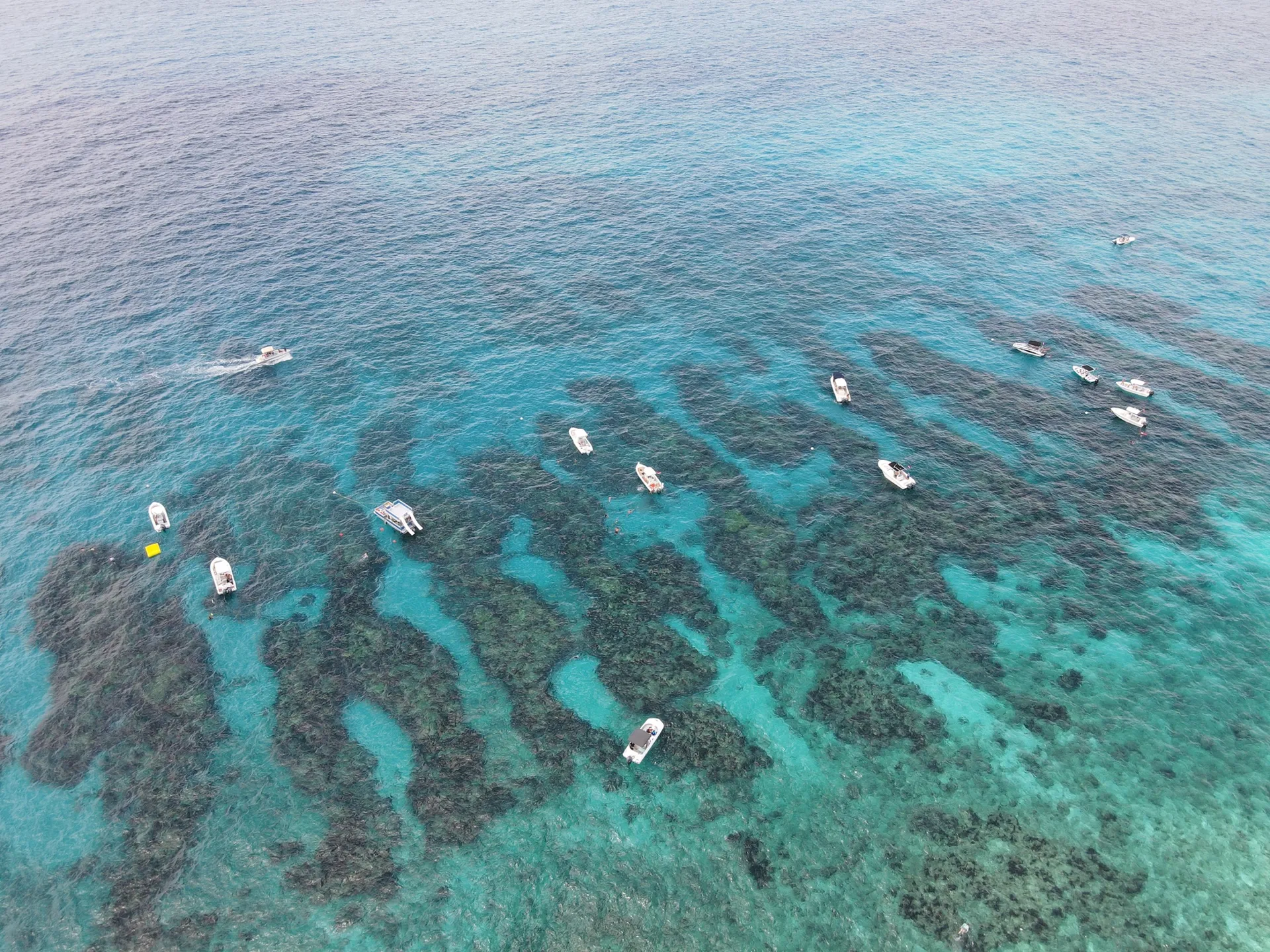 Twin Vee with Charter Captain! Snorkeling, Fishing, Sandabars, Sunsets