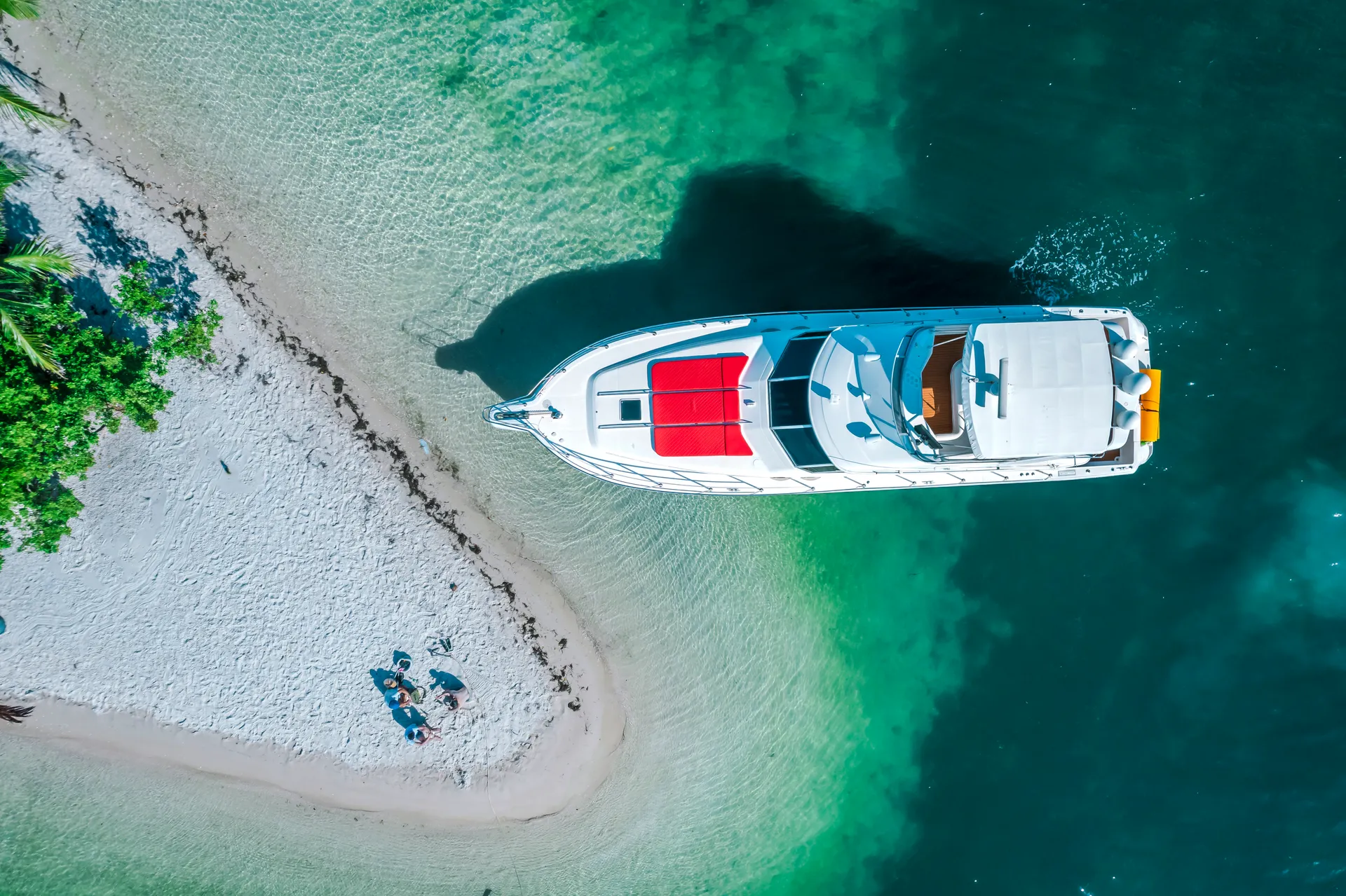 Sea Ray Boats 550 Sedan Bridge in Miami, FL — photo 2