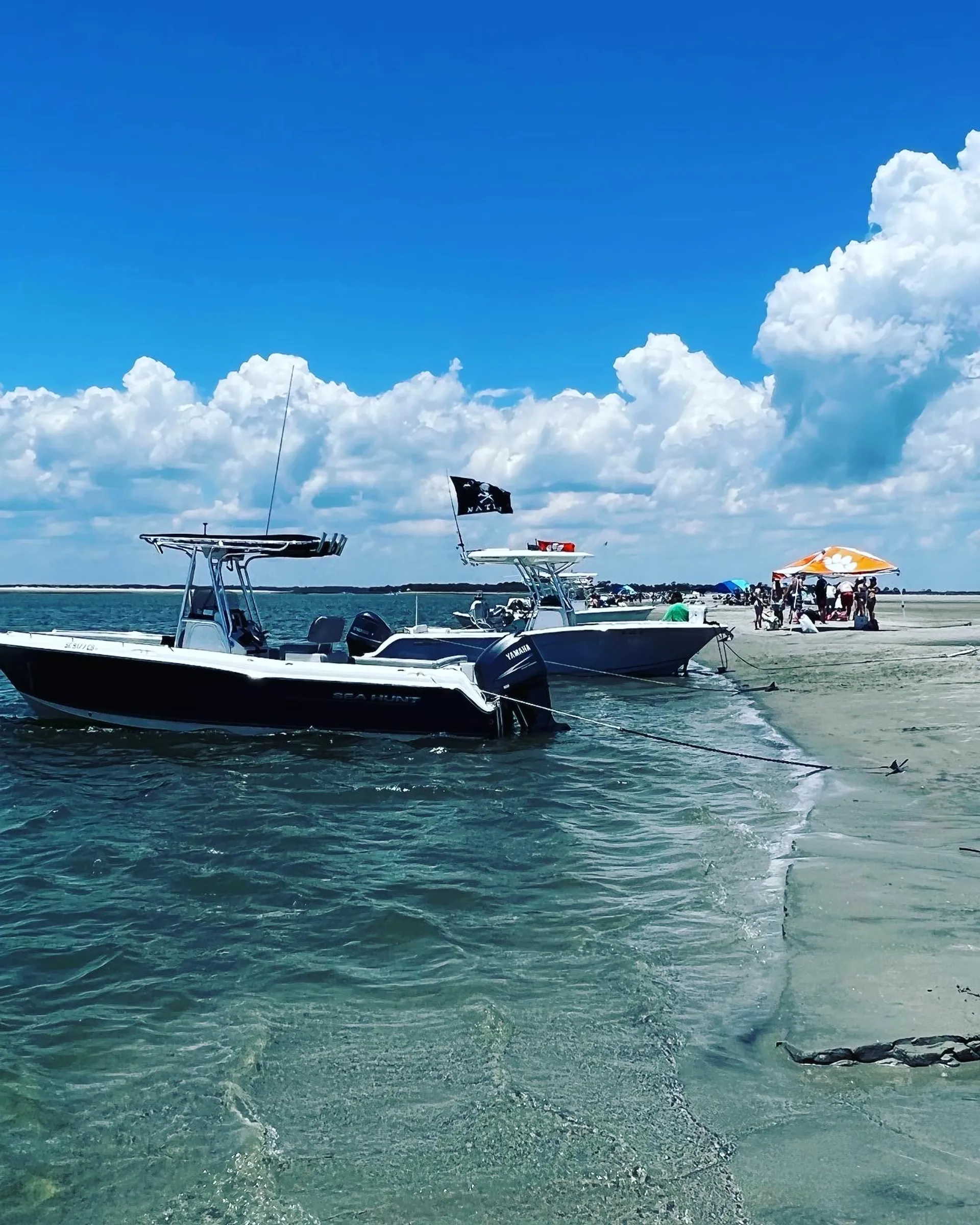 Charleston Boat Tours & OBX Adventures Captained by Charleston Native