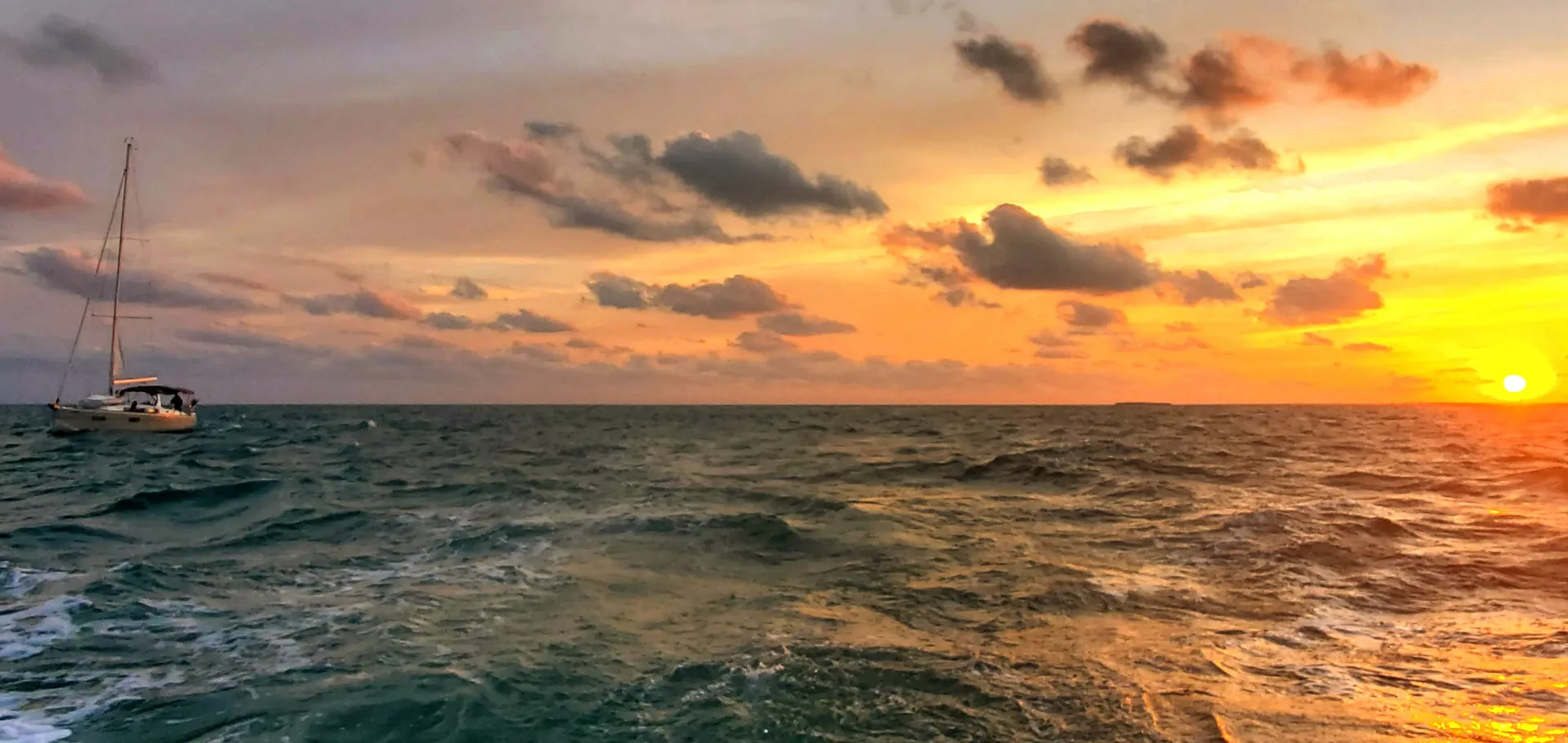 A unique experience in MIAMI