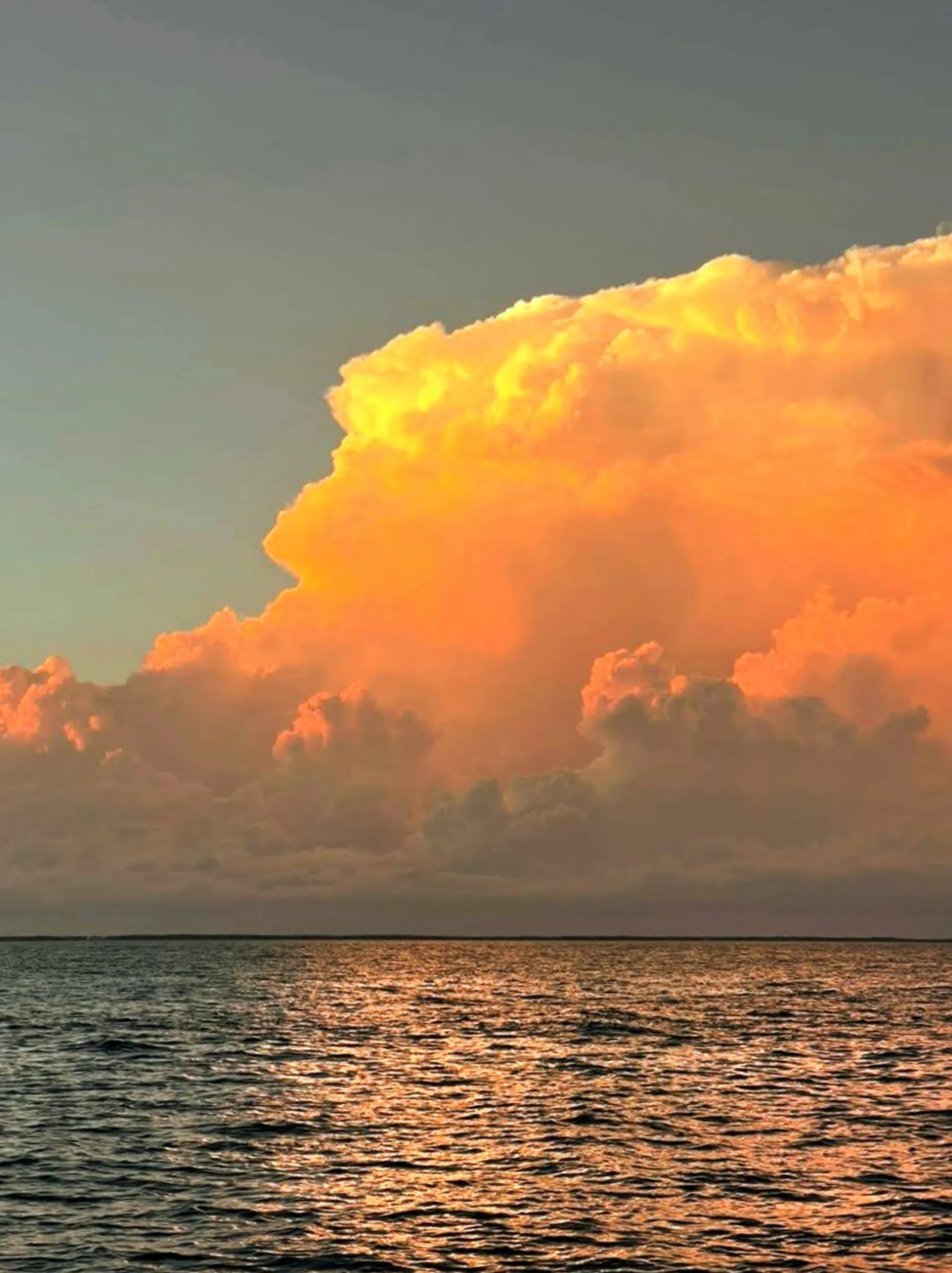 A unique experience in MIAMI