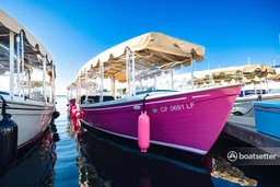 Pink Duffy Electric Boat Sun Crusiser 12 Passenger