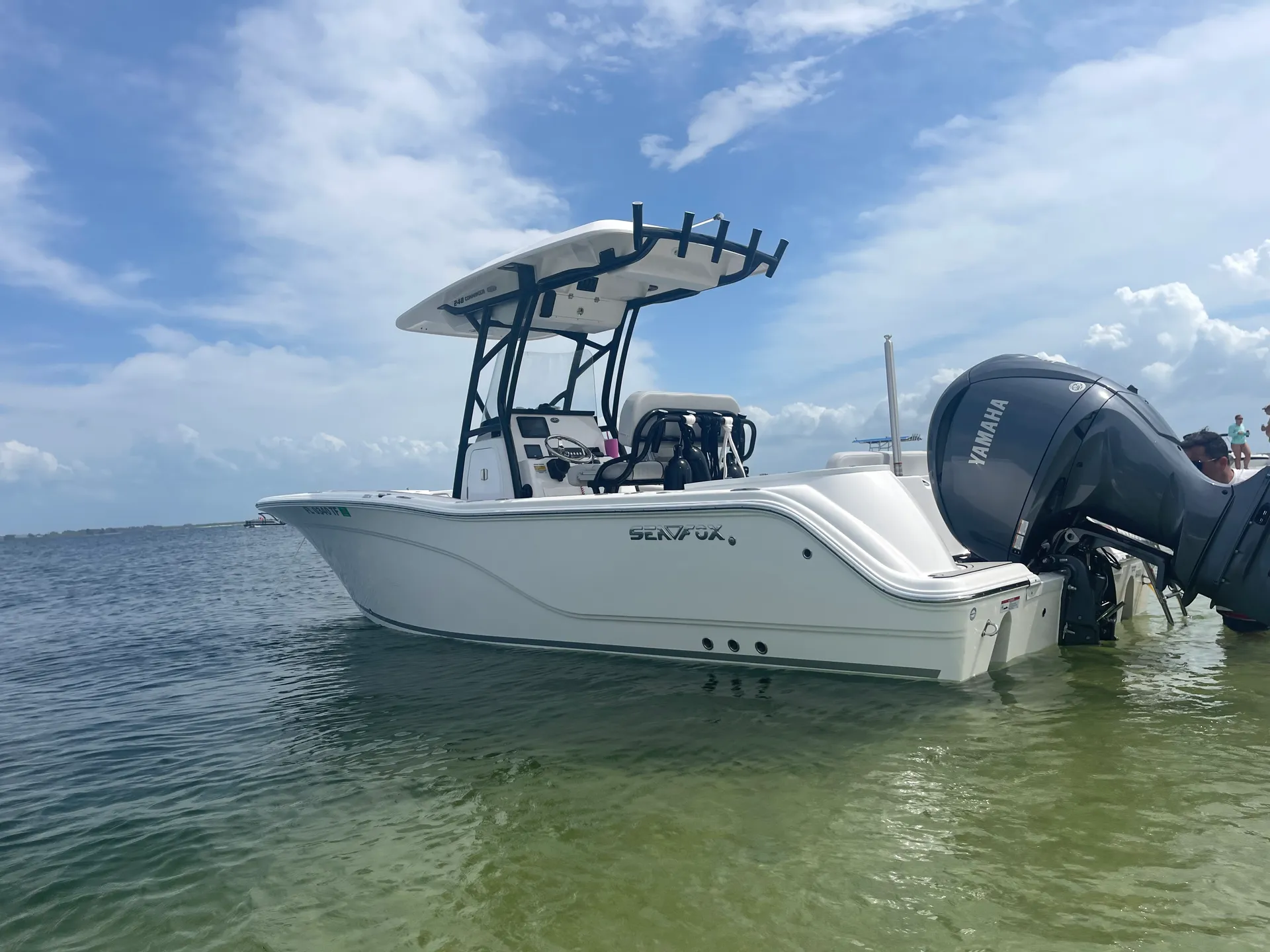 Welcome to the Dive Bar!