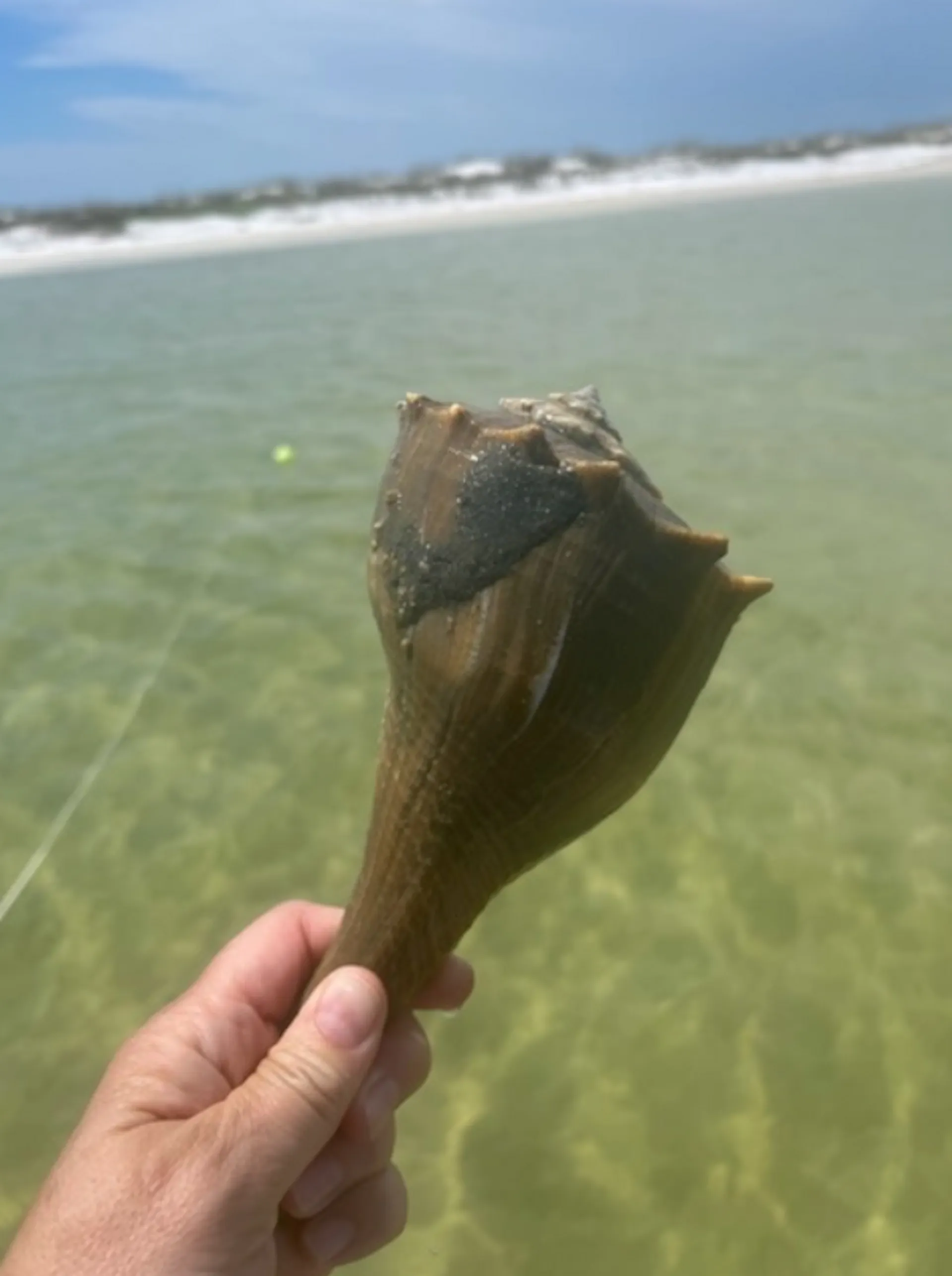 "Liquid Therapy" Jetboat