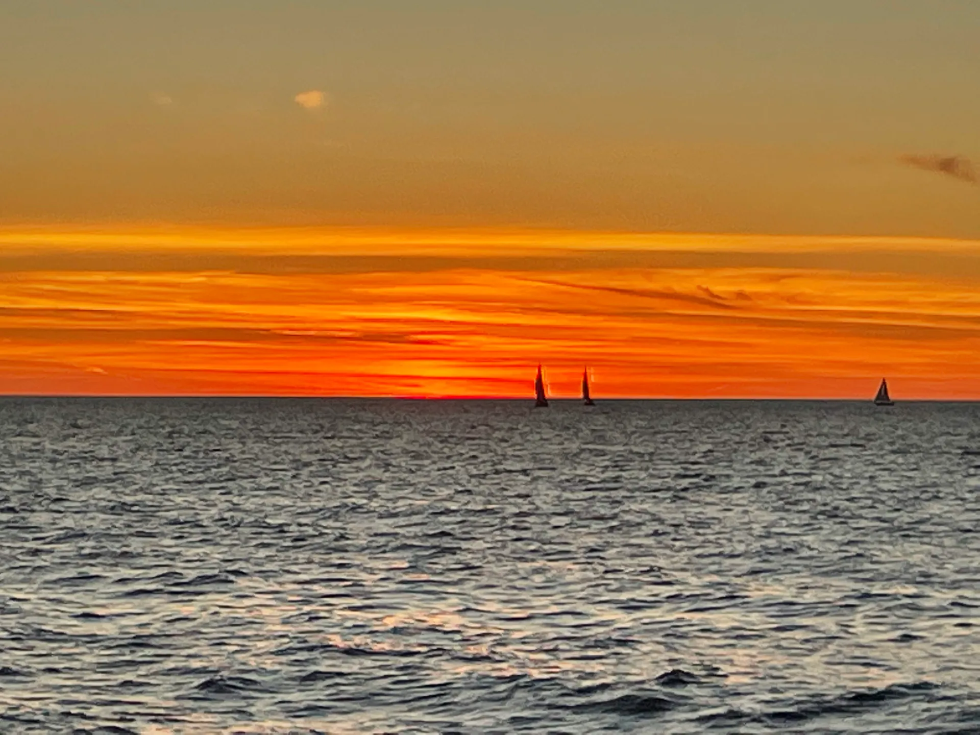  39 Passenger Custom Party Cruiser