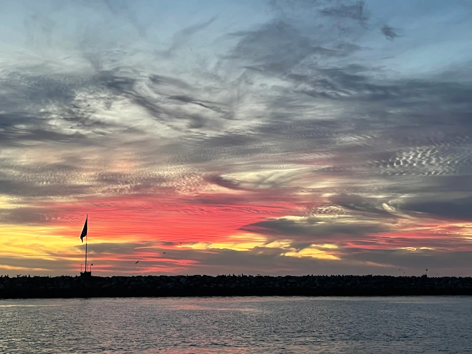  39 Passenger Custom Party Cruiser