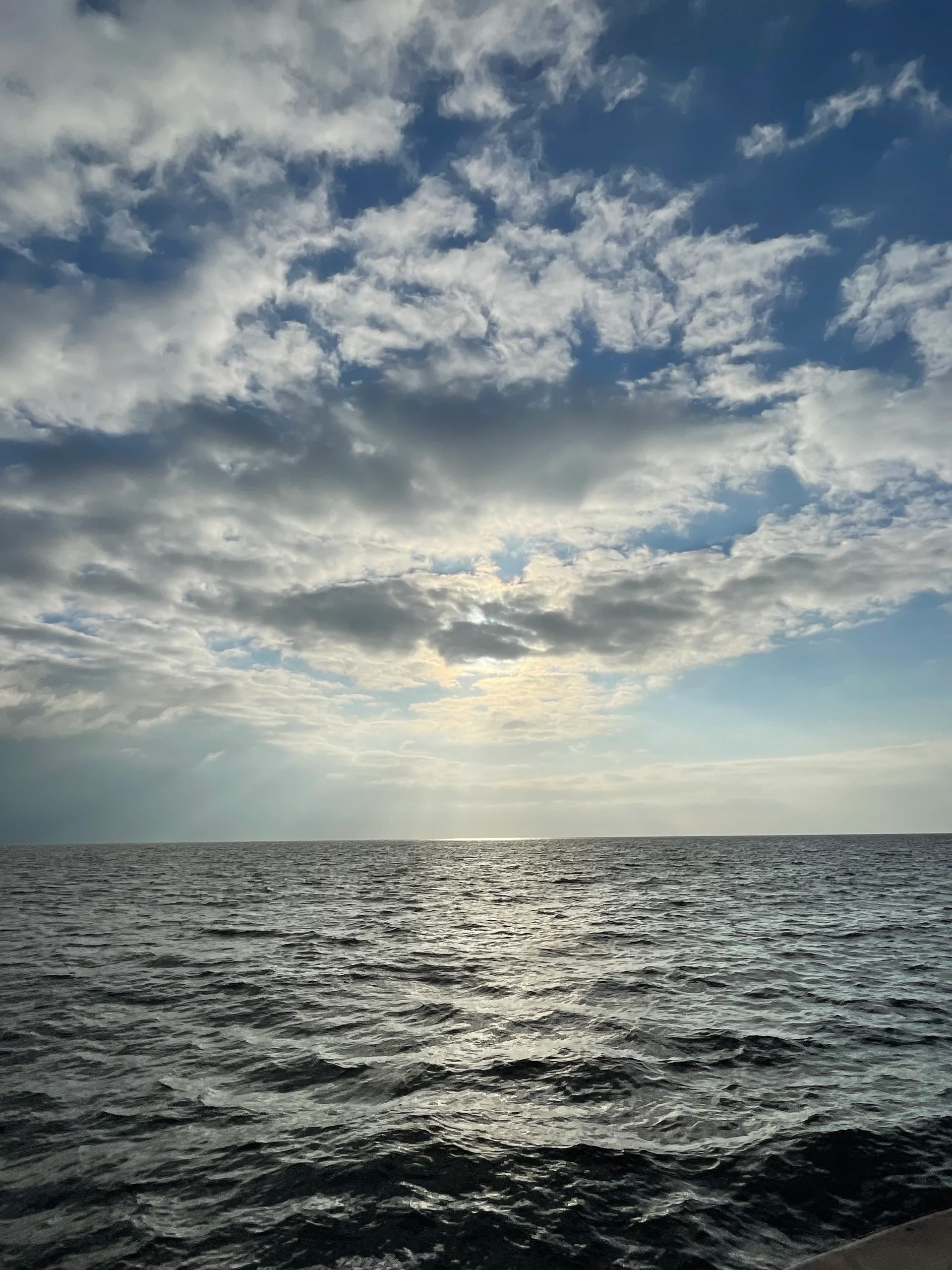  39 Passenger Custom Party Cruiser