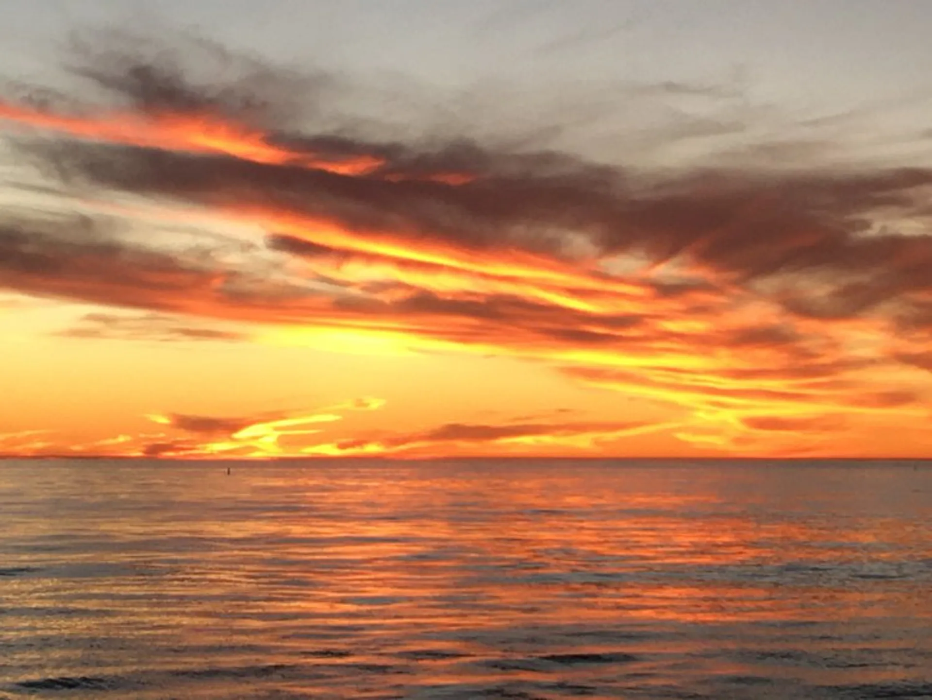  39 Passenger Custom Party Cruiser