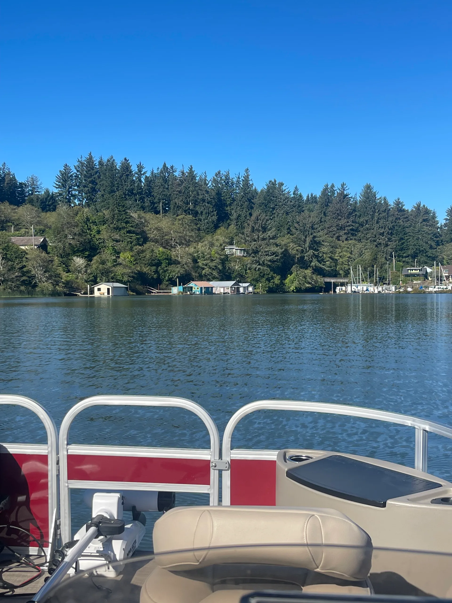 SUN TRACKER BASS BUGGY 18 DLX in Dunes City, OR — photo 6