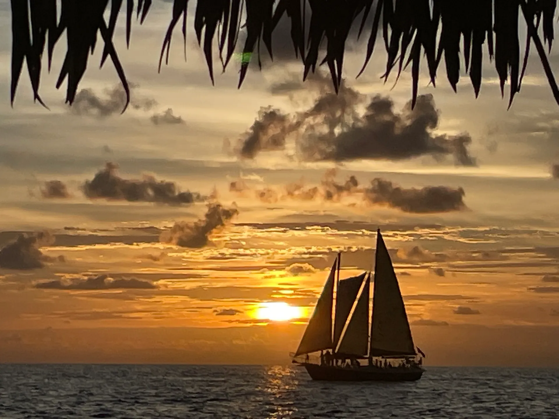 Sea Ray SPX 210 (Captain & Fuel Included) 6 passengers max