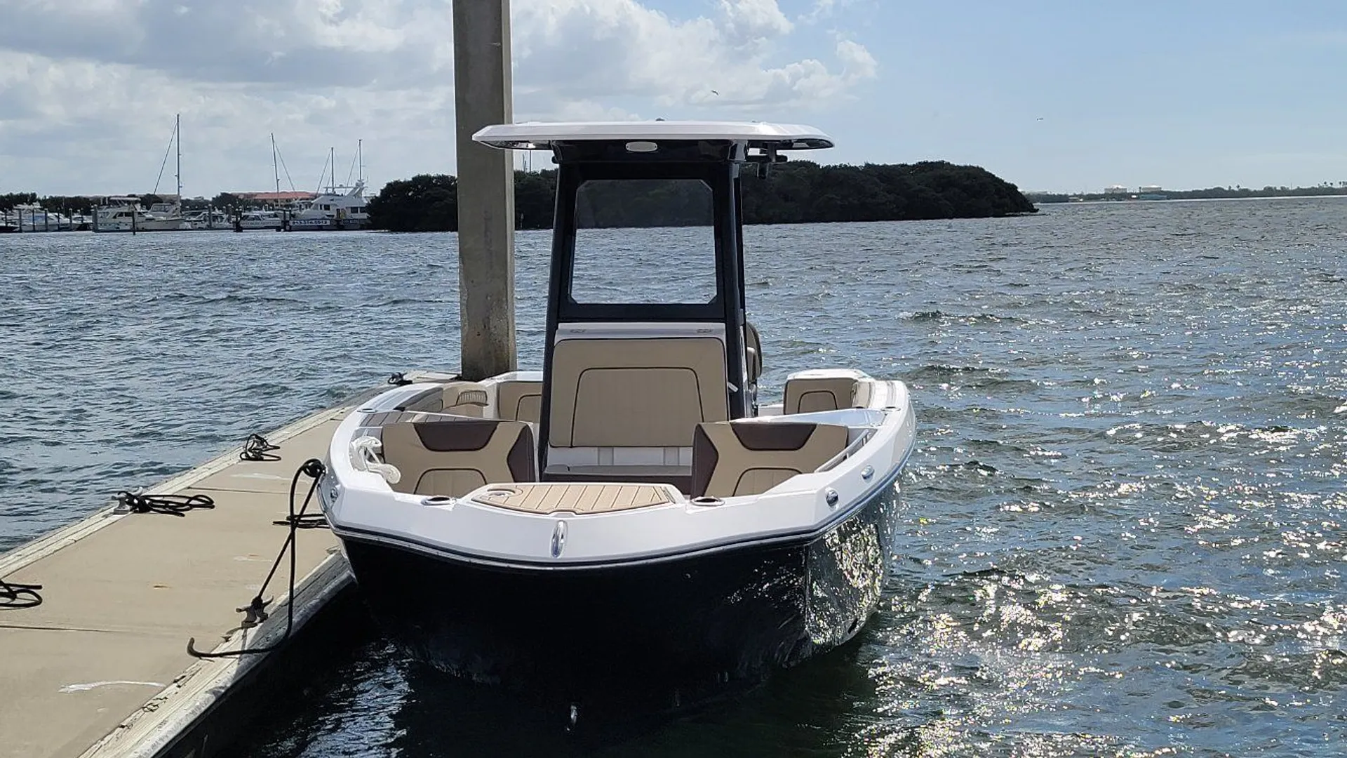 YAMAHA 255 FISH SPORT E in Apollo Beach, FL — photo 4