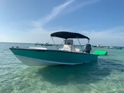 Sandbar Trips with Local boat photo
