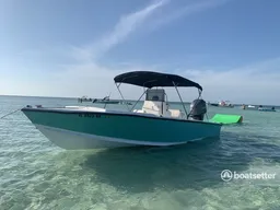 Sandbar Trips with Local