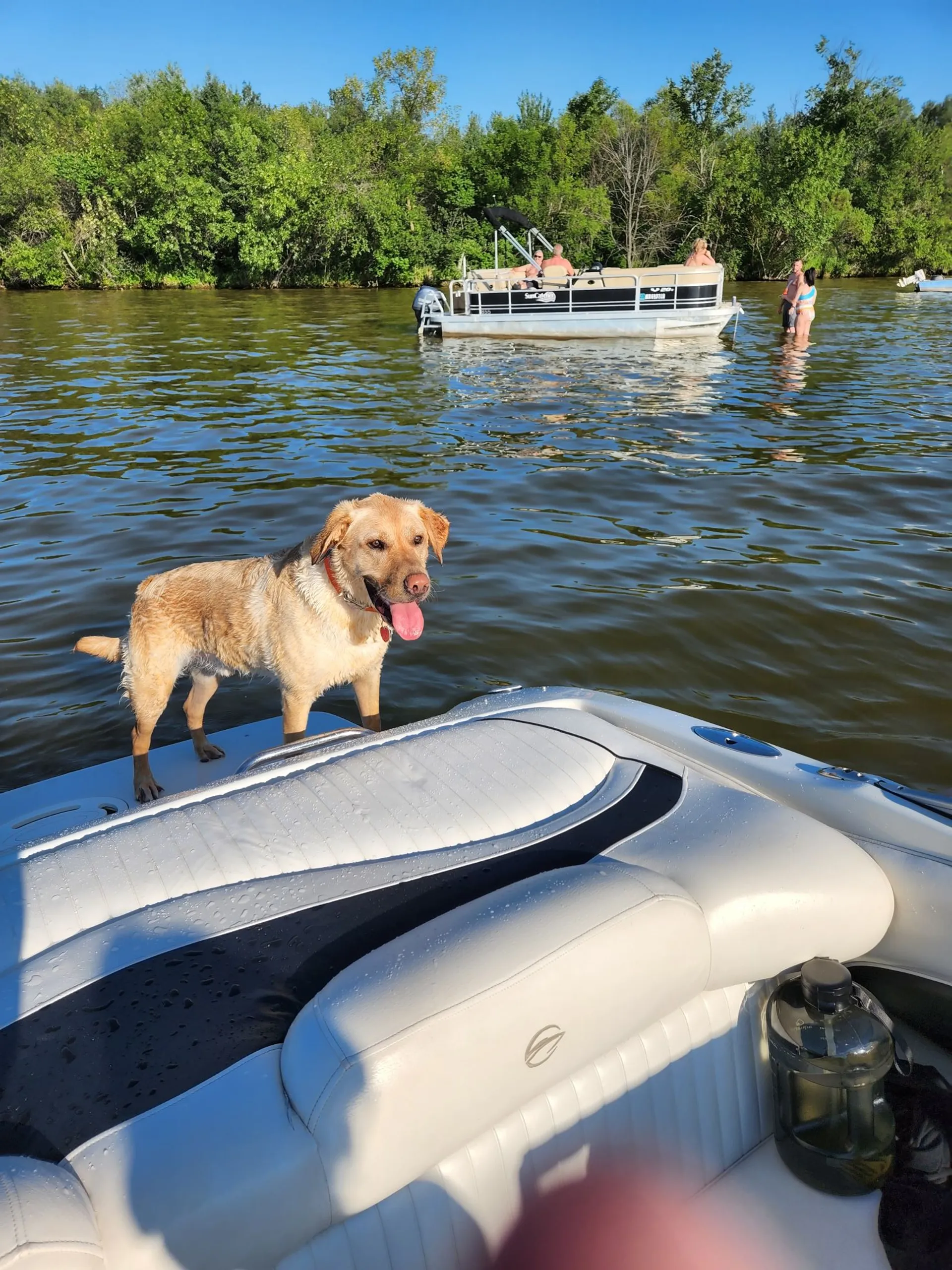Crownline Boats 180 BR in Minneapolis, MN — photo 2