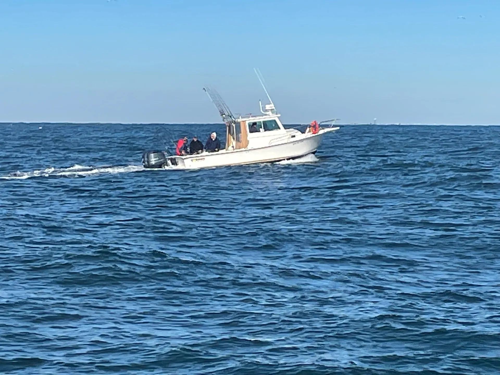 Cruising, Birding and Dolphin Watching Aboard a 26 foot Steiger Craft