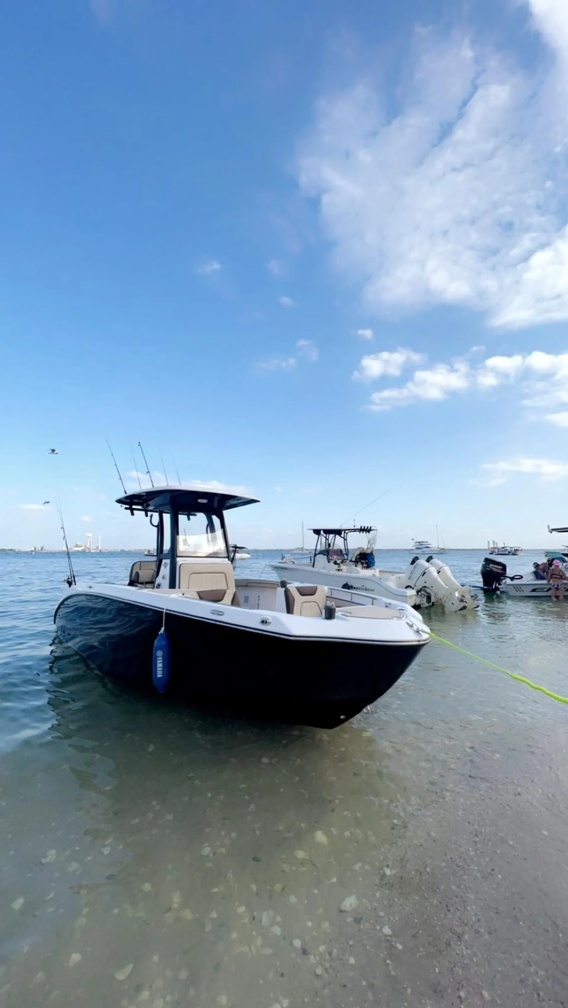 YAMAHA 255 FISH SPORT E in Apollo Beach, FL — photo 3