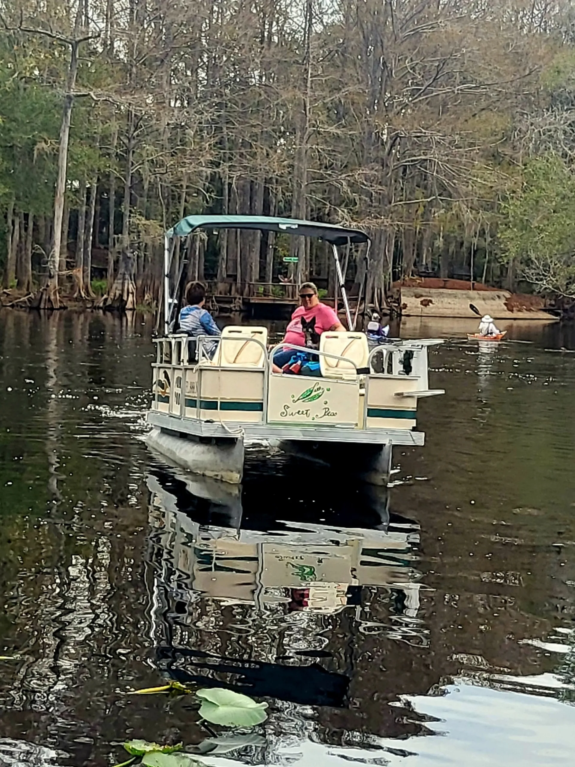 National Pontoon Boats Pond Toon in Dunnellon, FL — photo 5