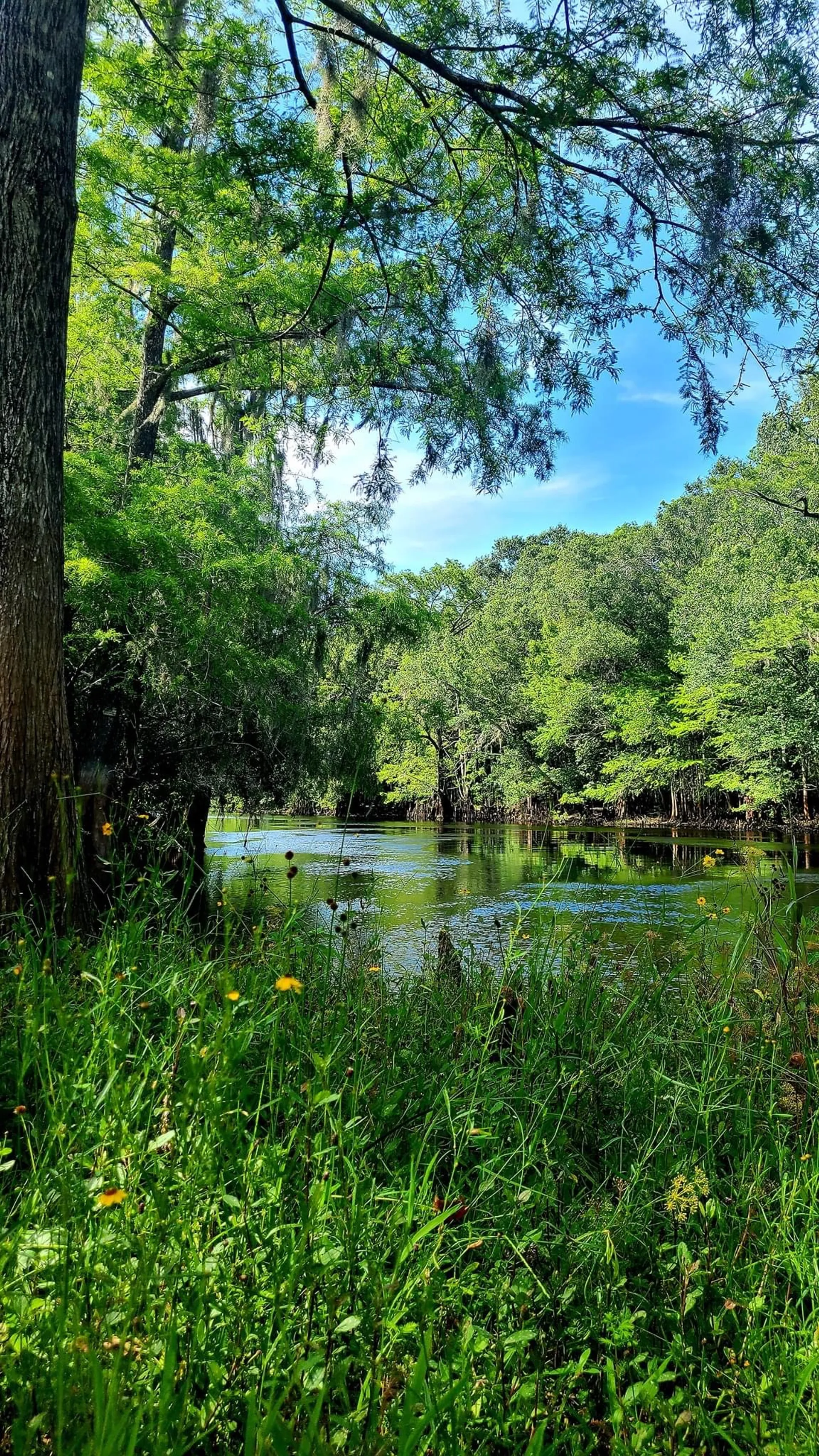 National Pontoon Boats Pond Toon in Dunnellon, FL — photo 7